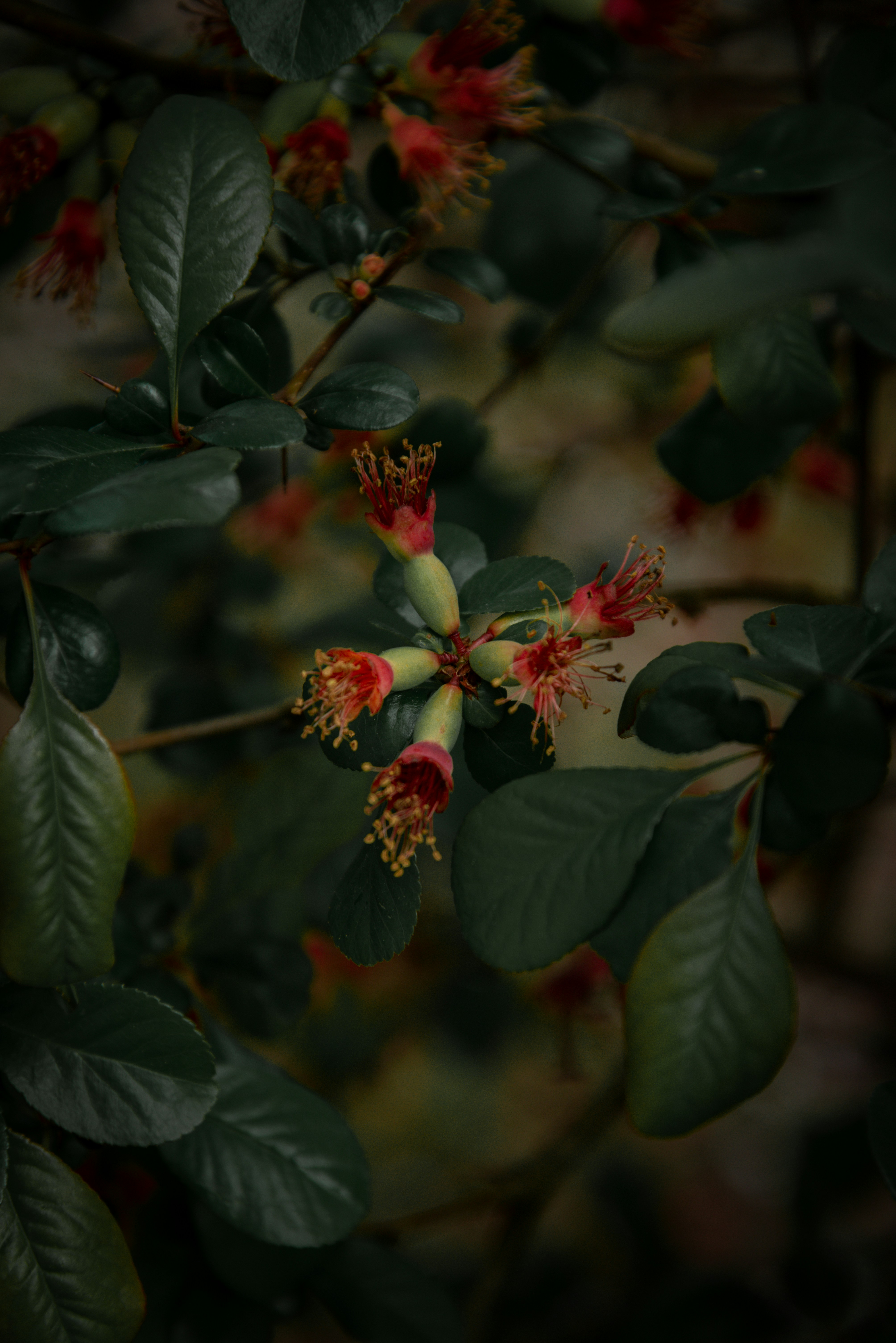 Photo by malwinanogaj