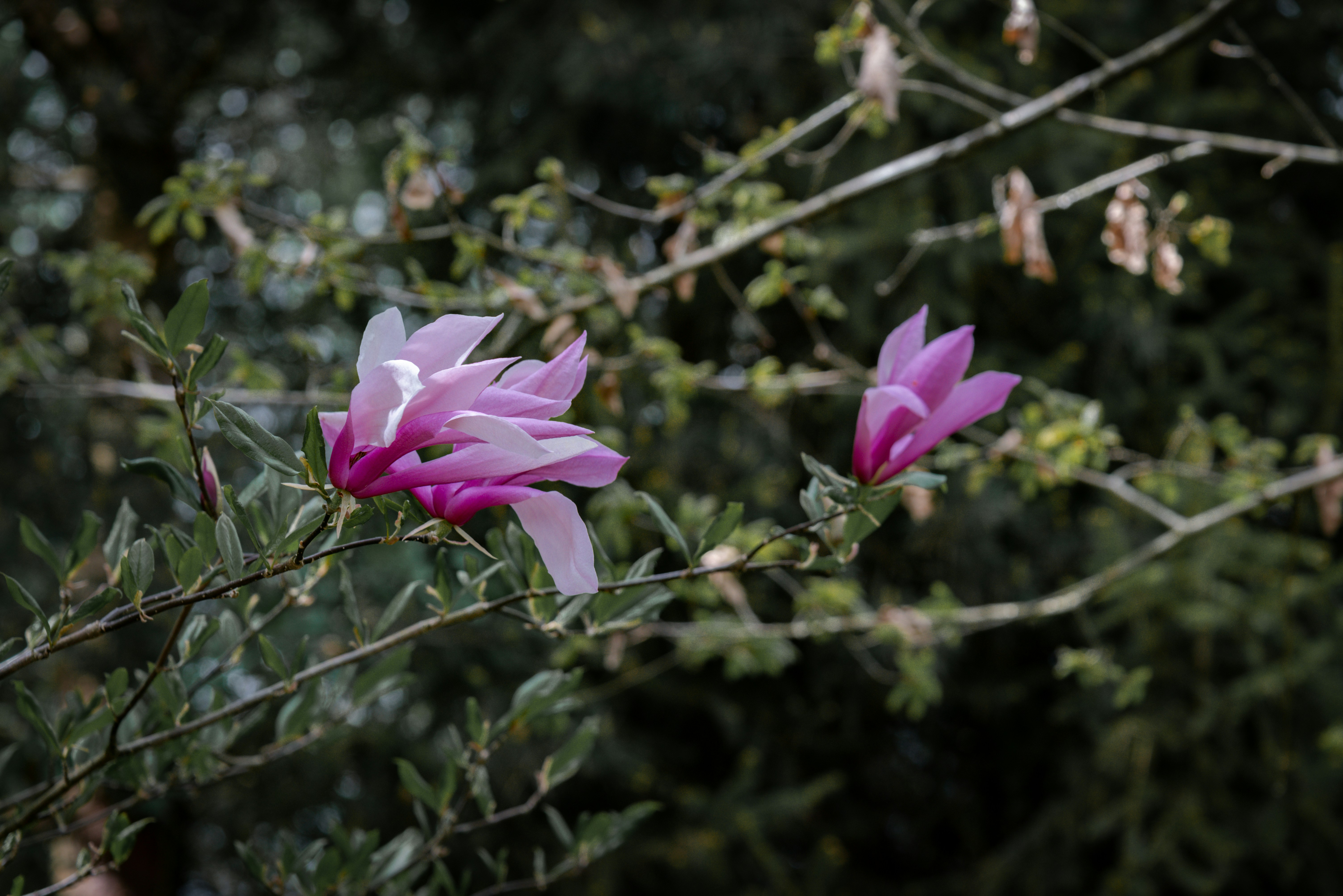 Photo by malwinanogaj