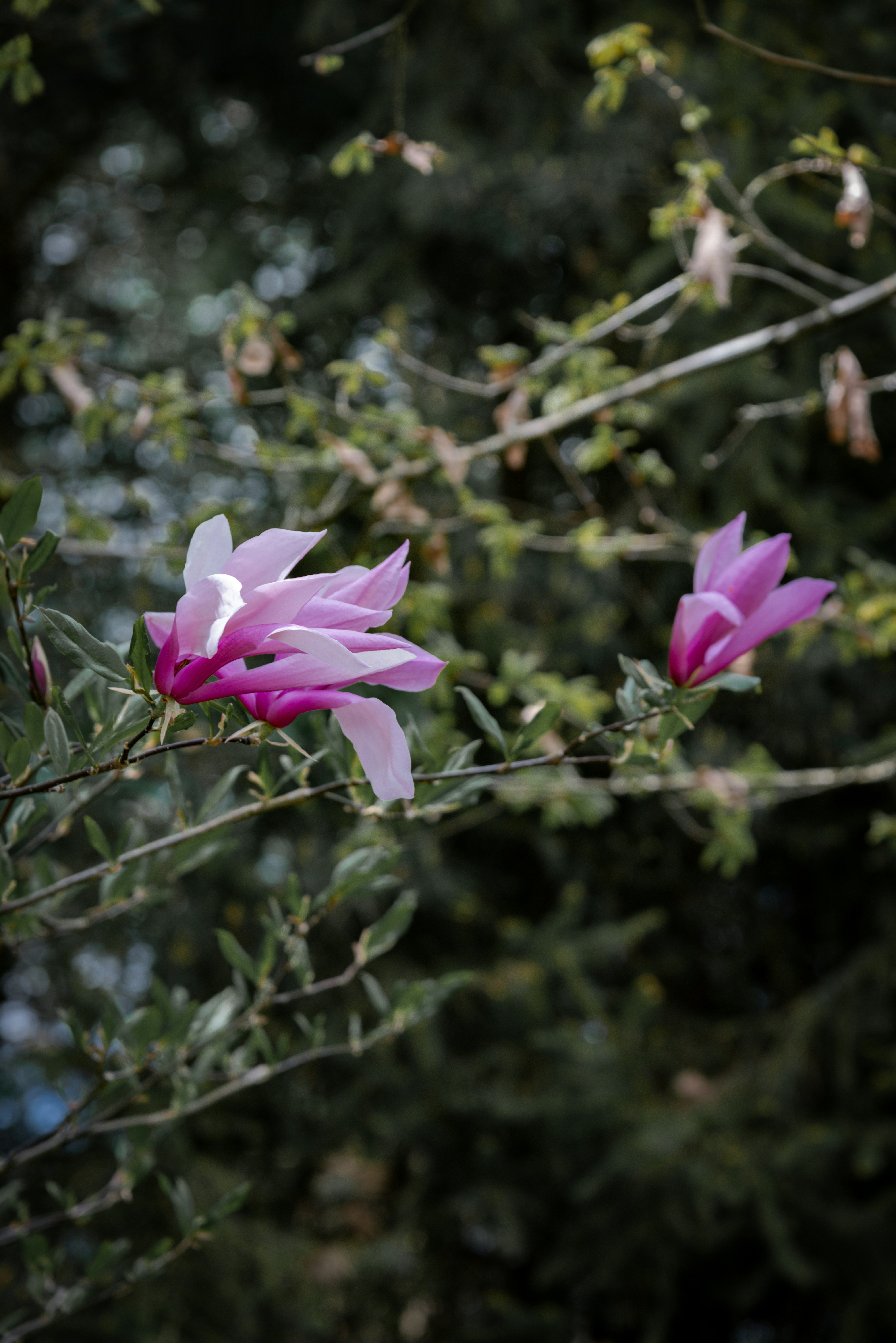 Photo by malwinanogaj