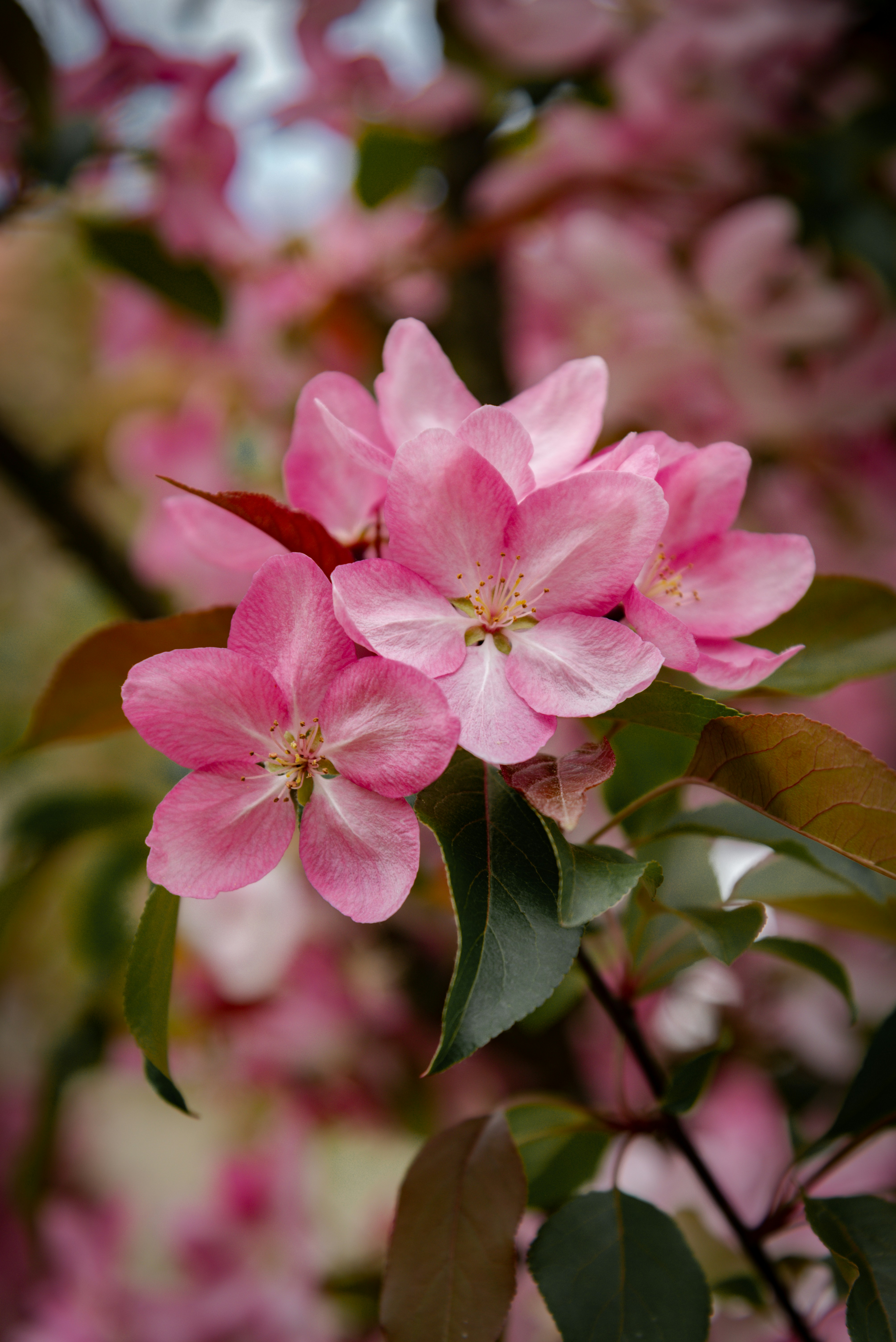 Photo by malwinanogaj