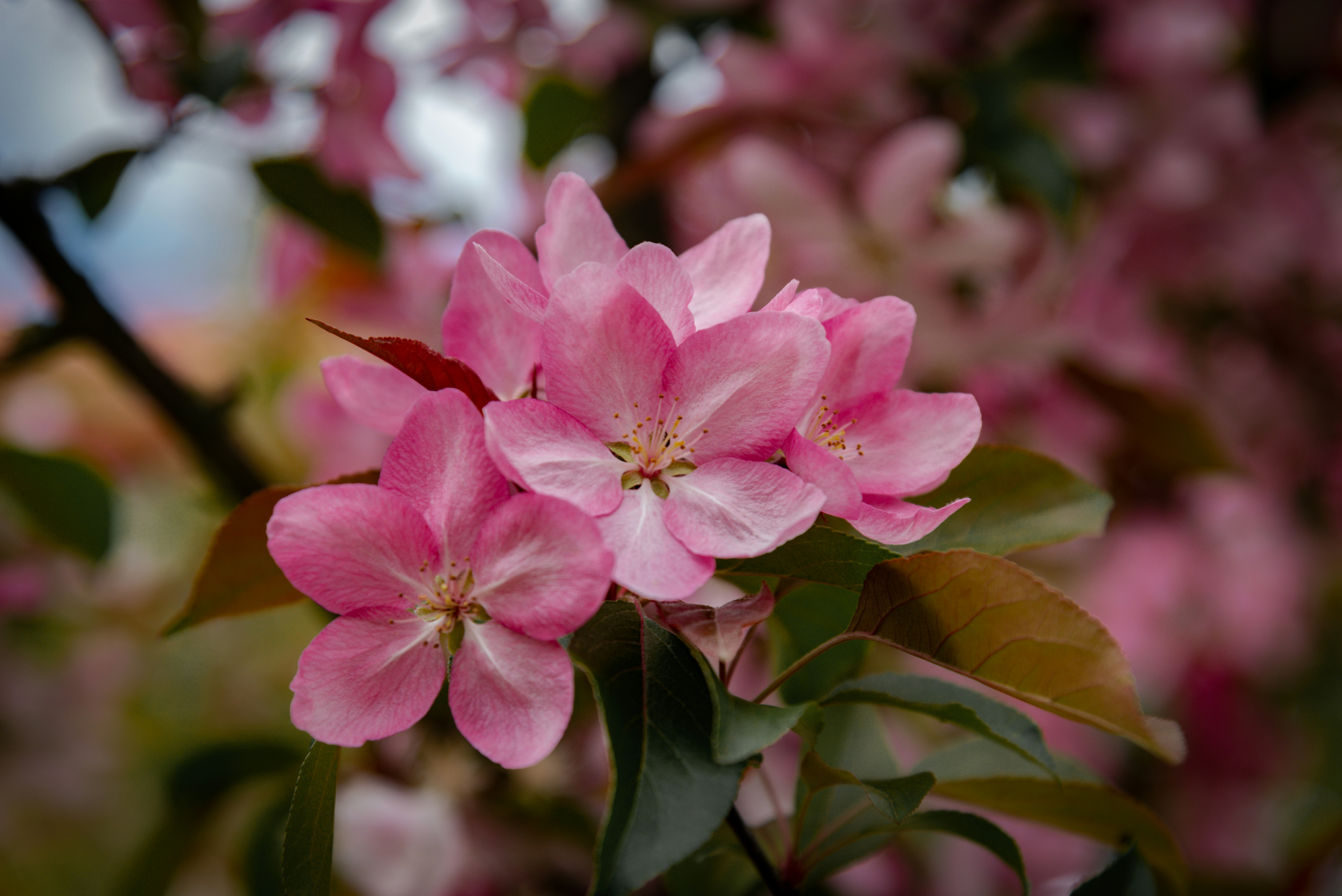 Photo by malwinanogaj