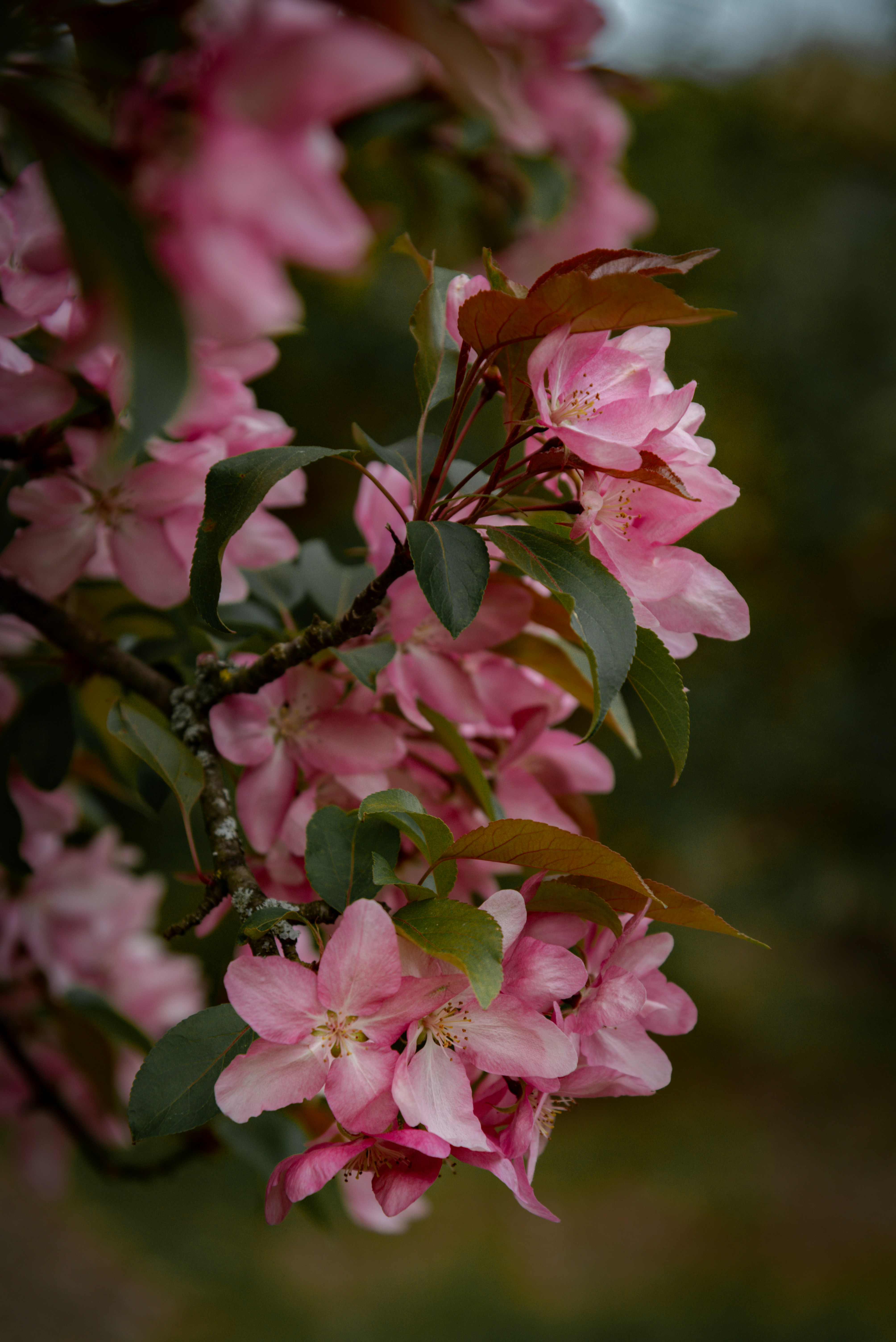 Photo by malwinanogaj