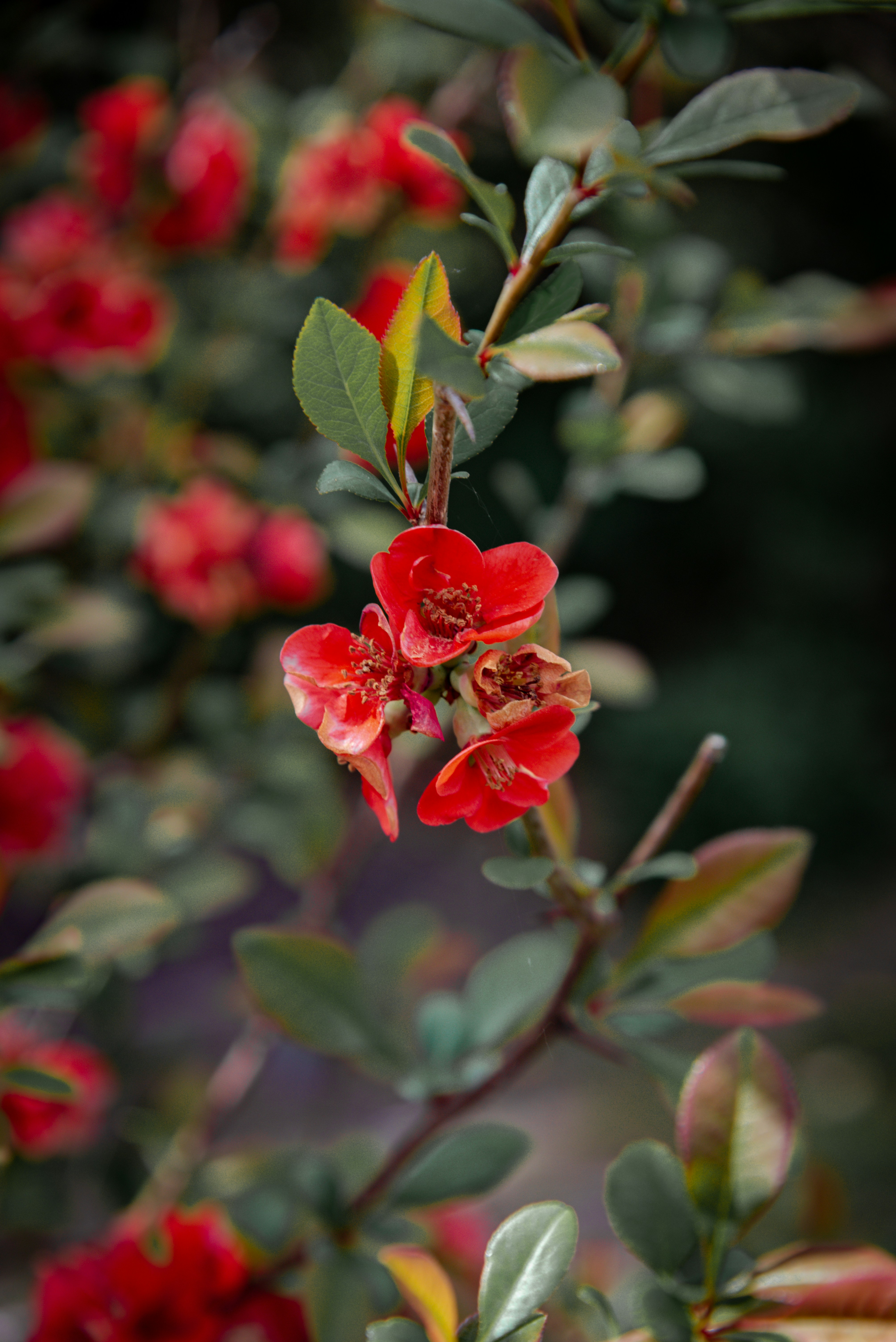 Photo by malwinanogaj