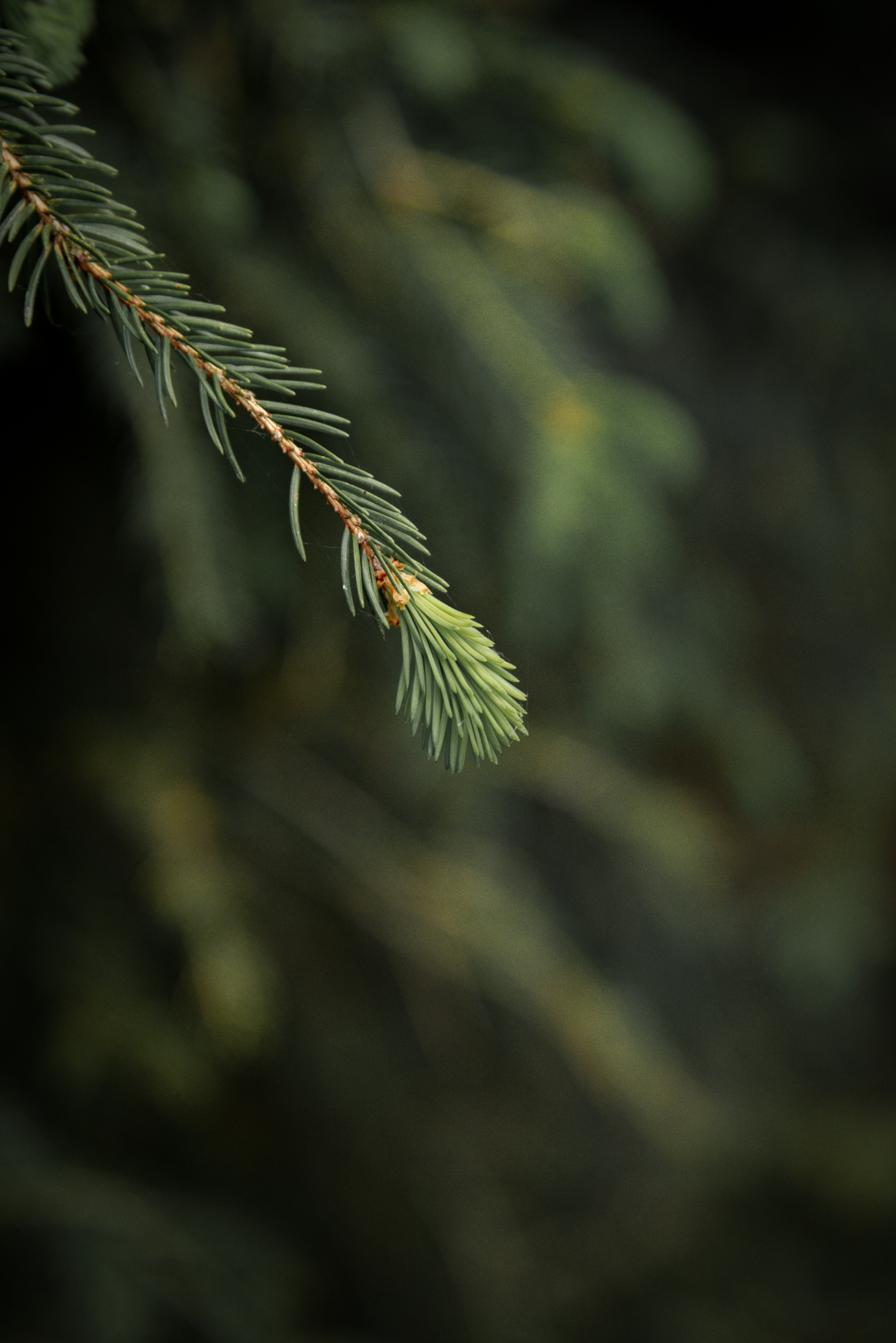 Photo by malwinanogaj