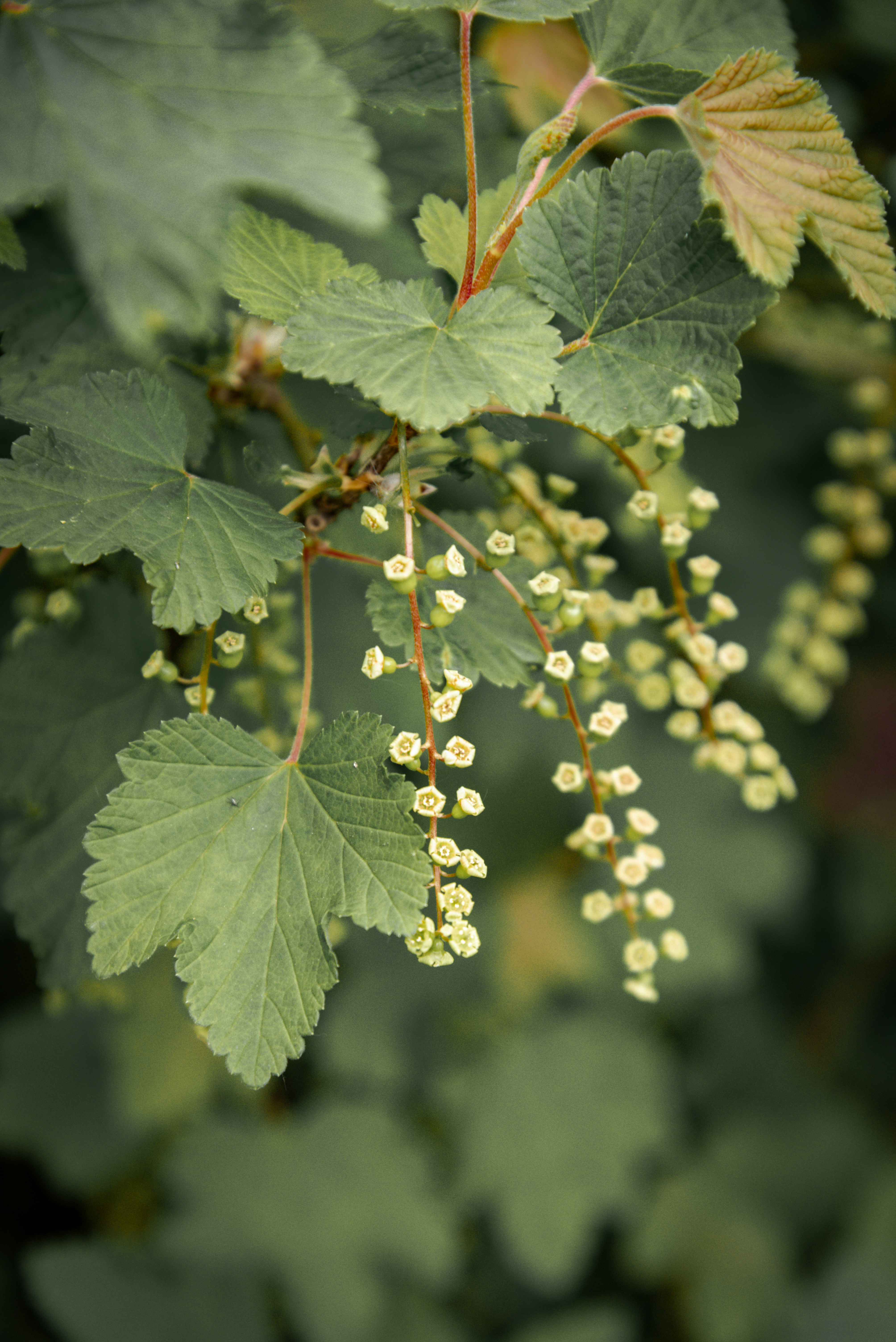 Photo by malwinanogaj