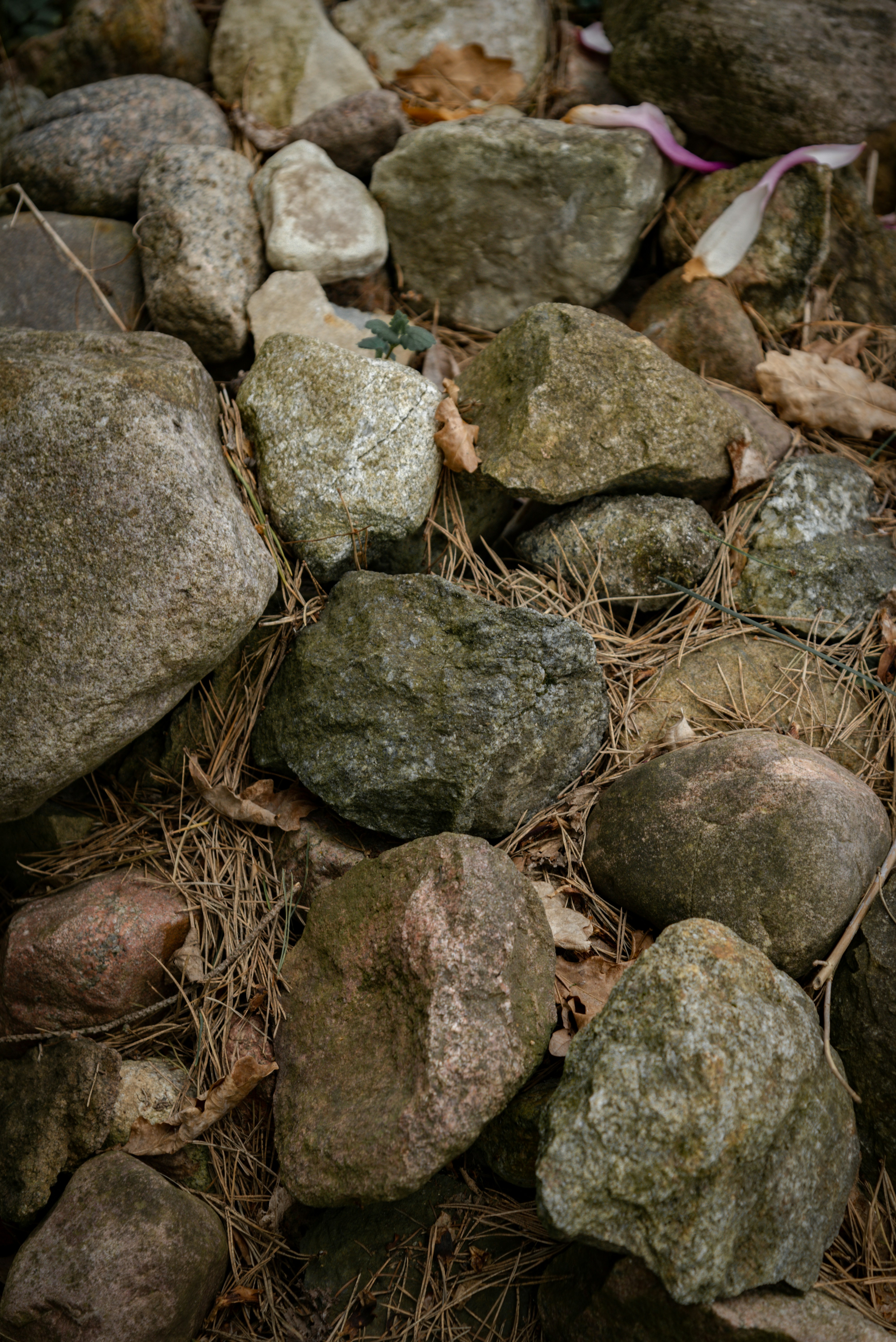 Photo by malwinanogaj