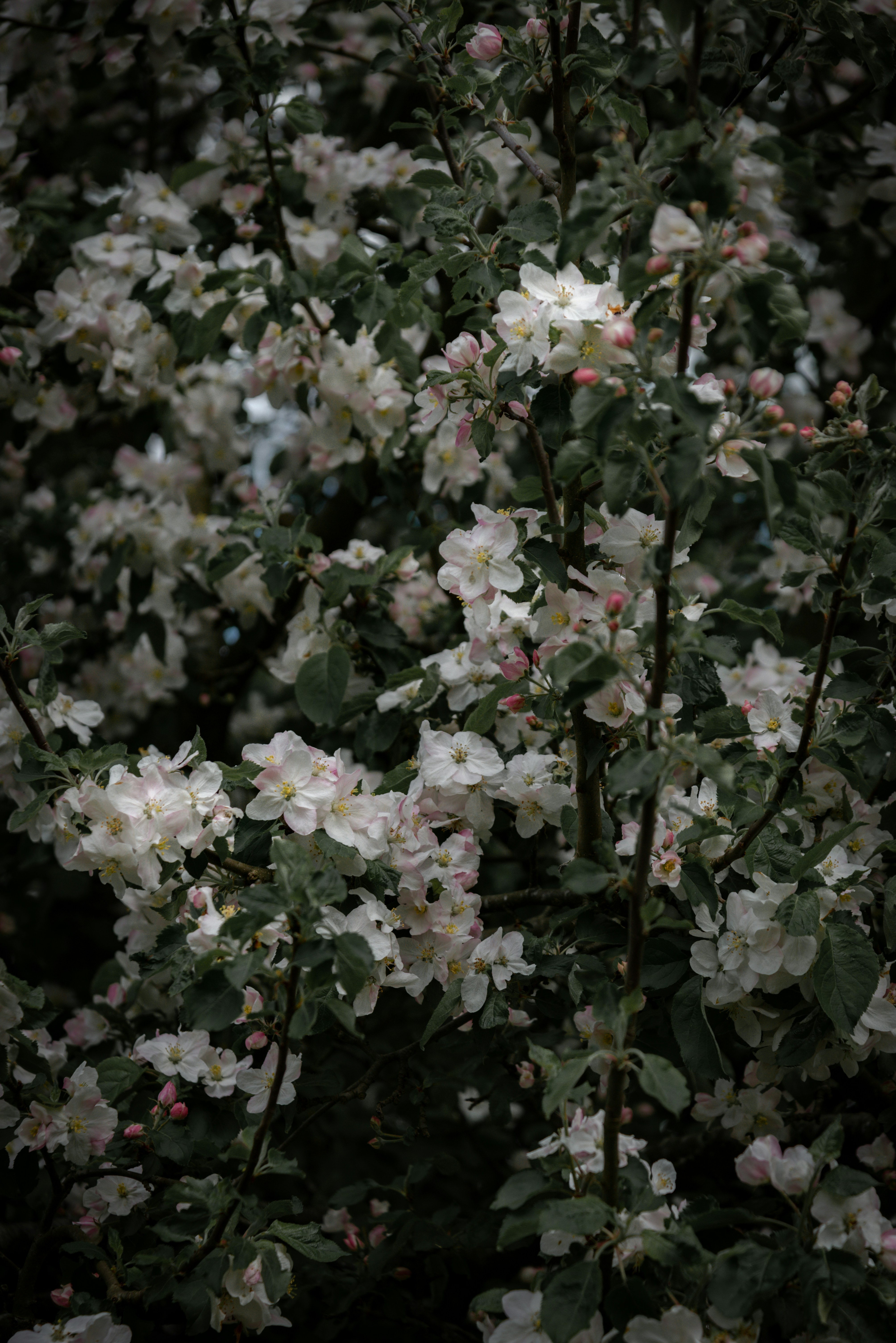 Photo by malwinanogaj