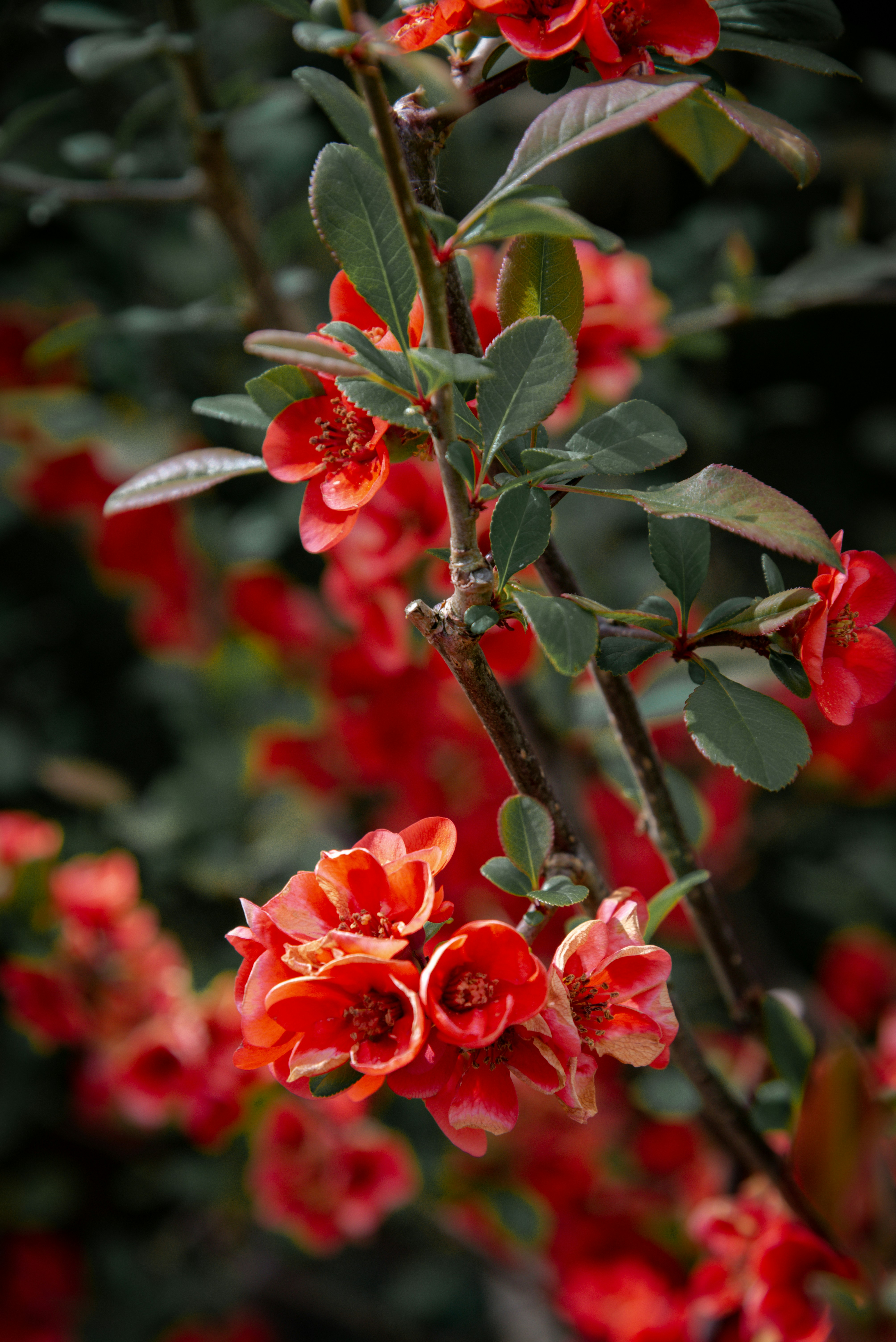 Photo by malwinanogaj