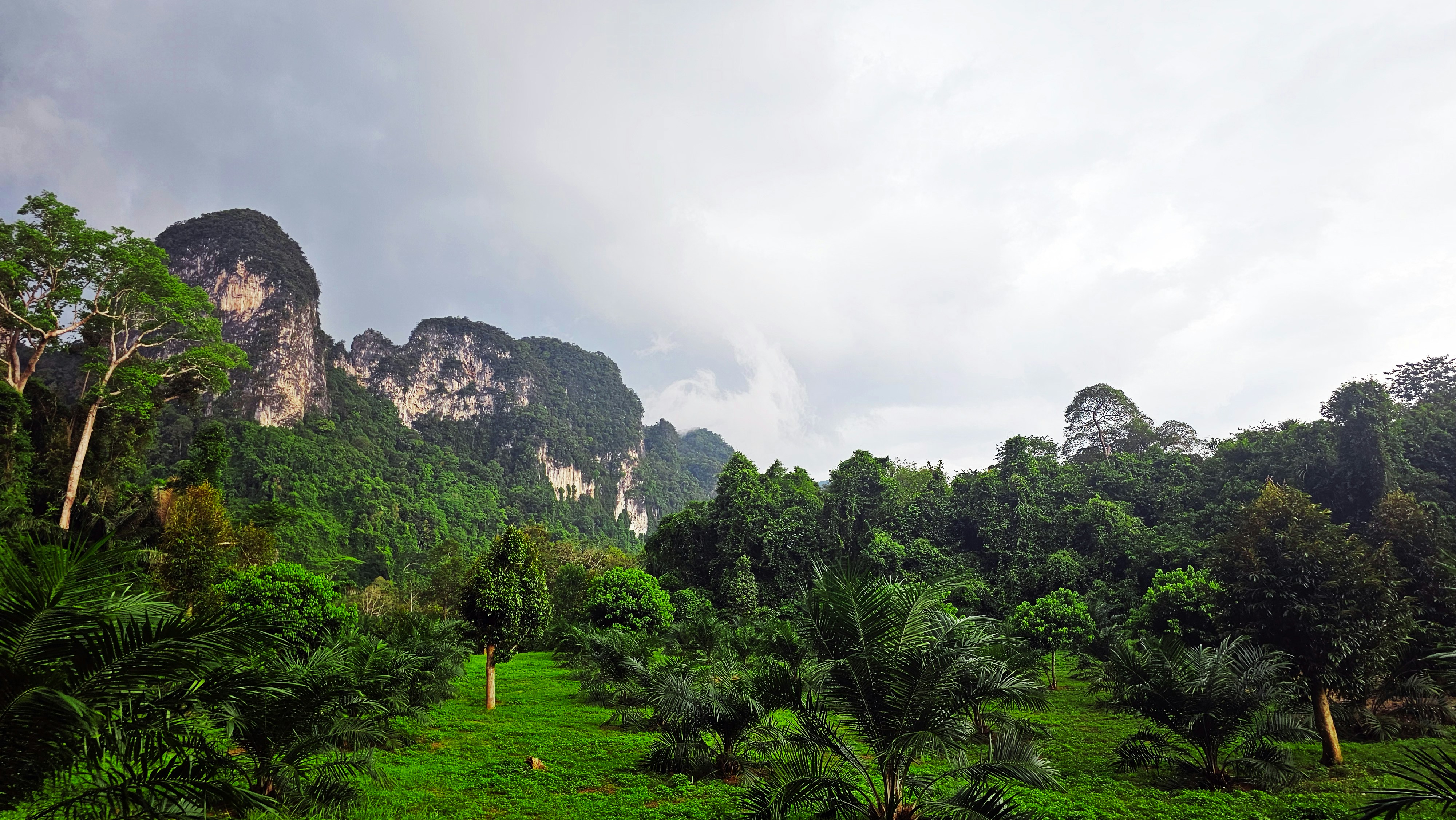 Photo by your_scorpion