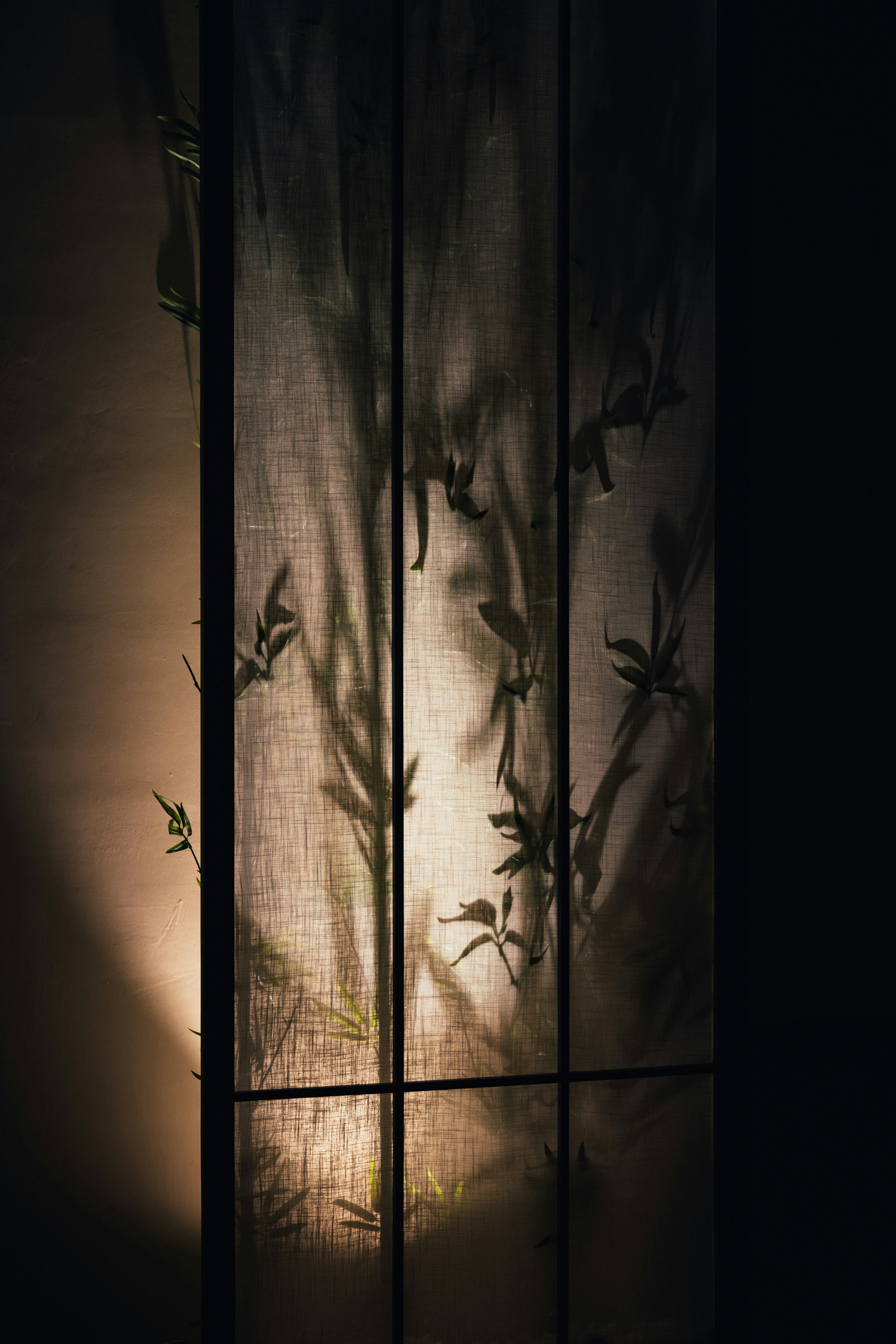 Photo by summerobelisk