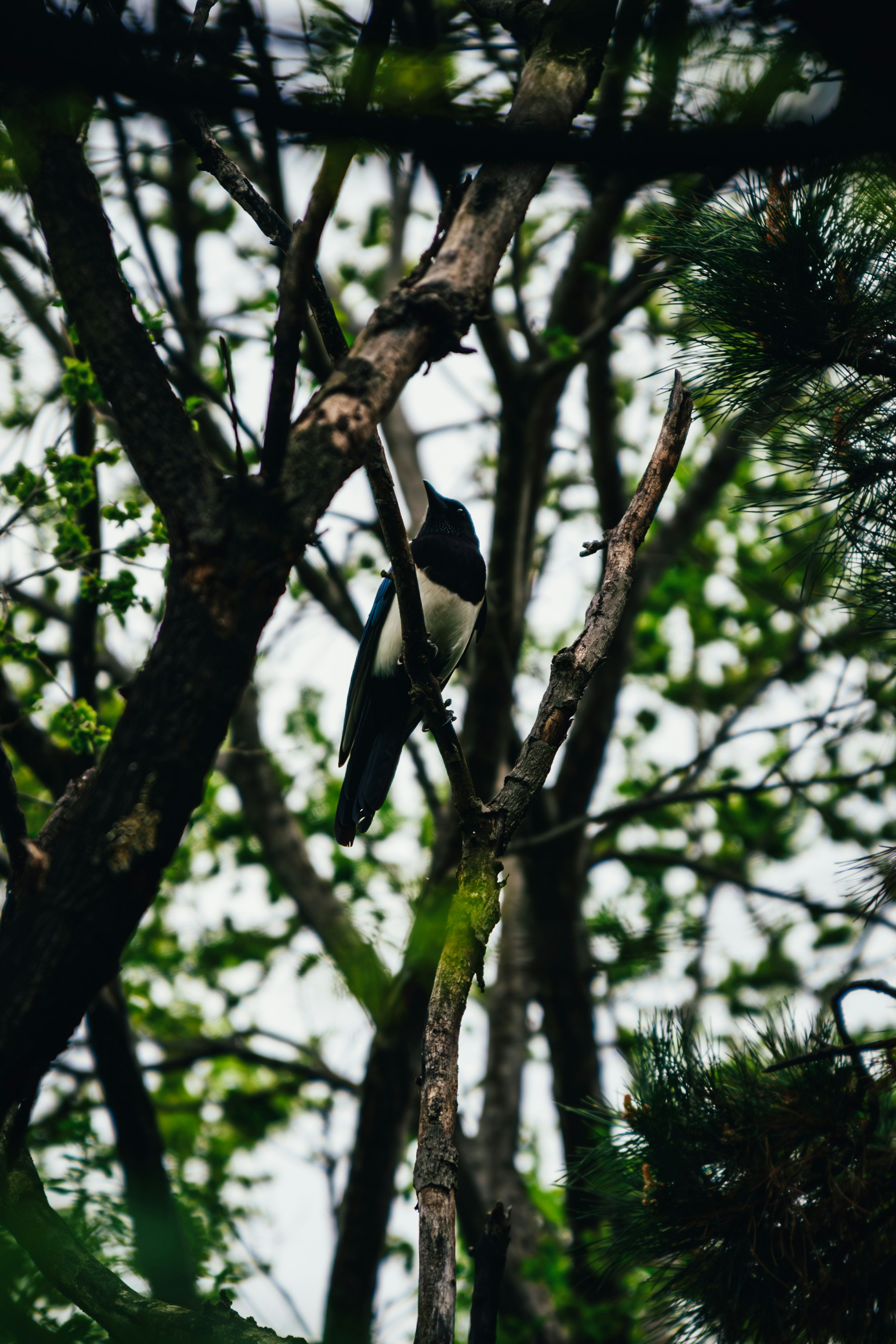 Photo by summerobelisk