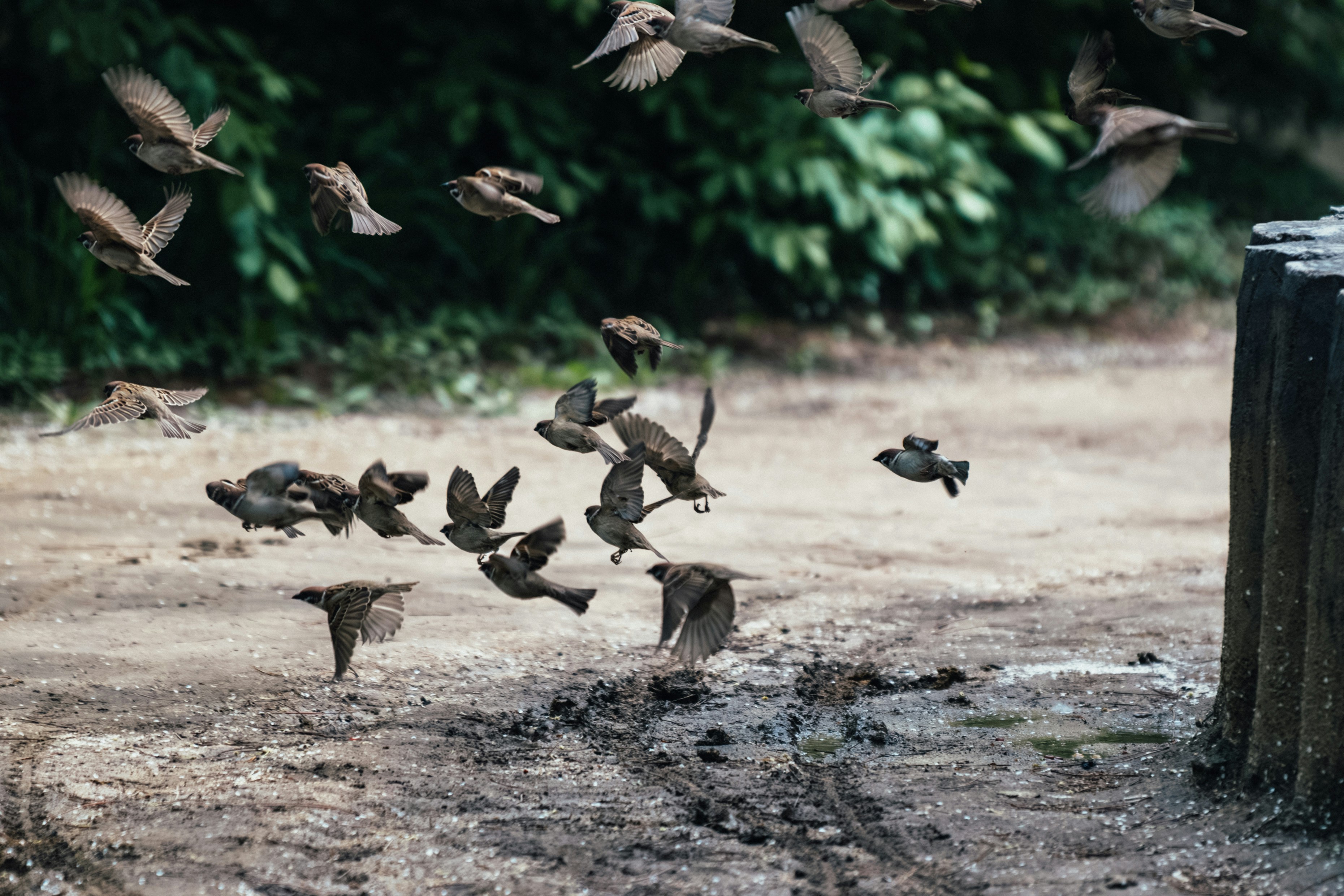 Photo by summerobelisk