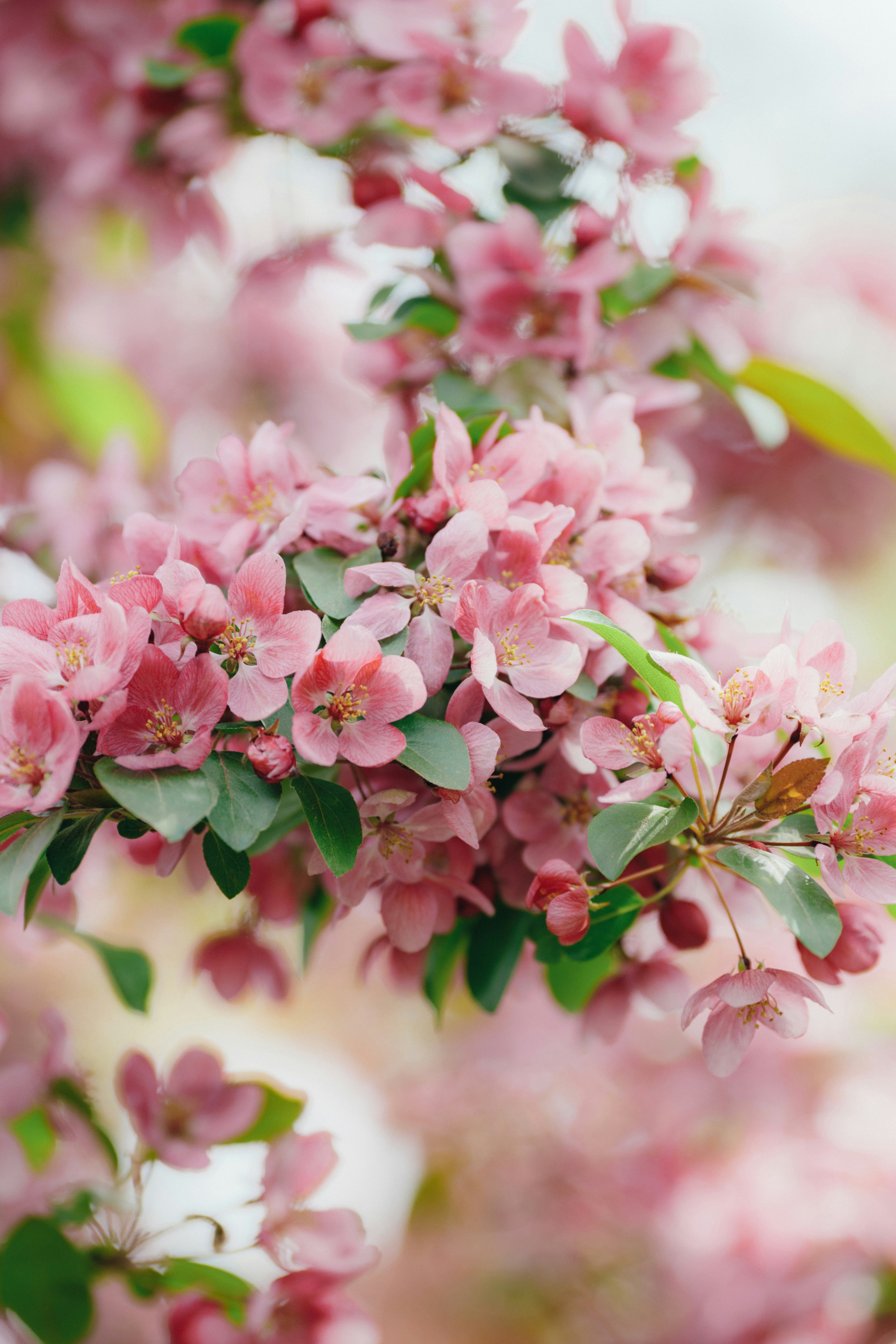 Photo by summerobelisk