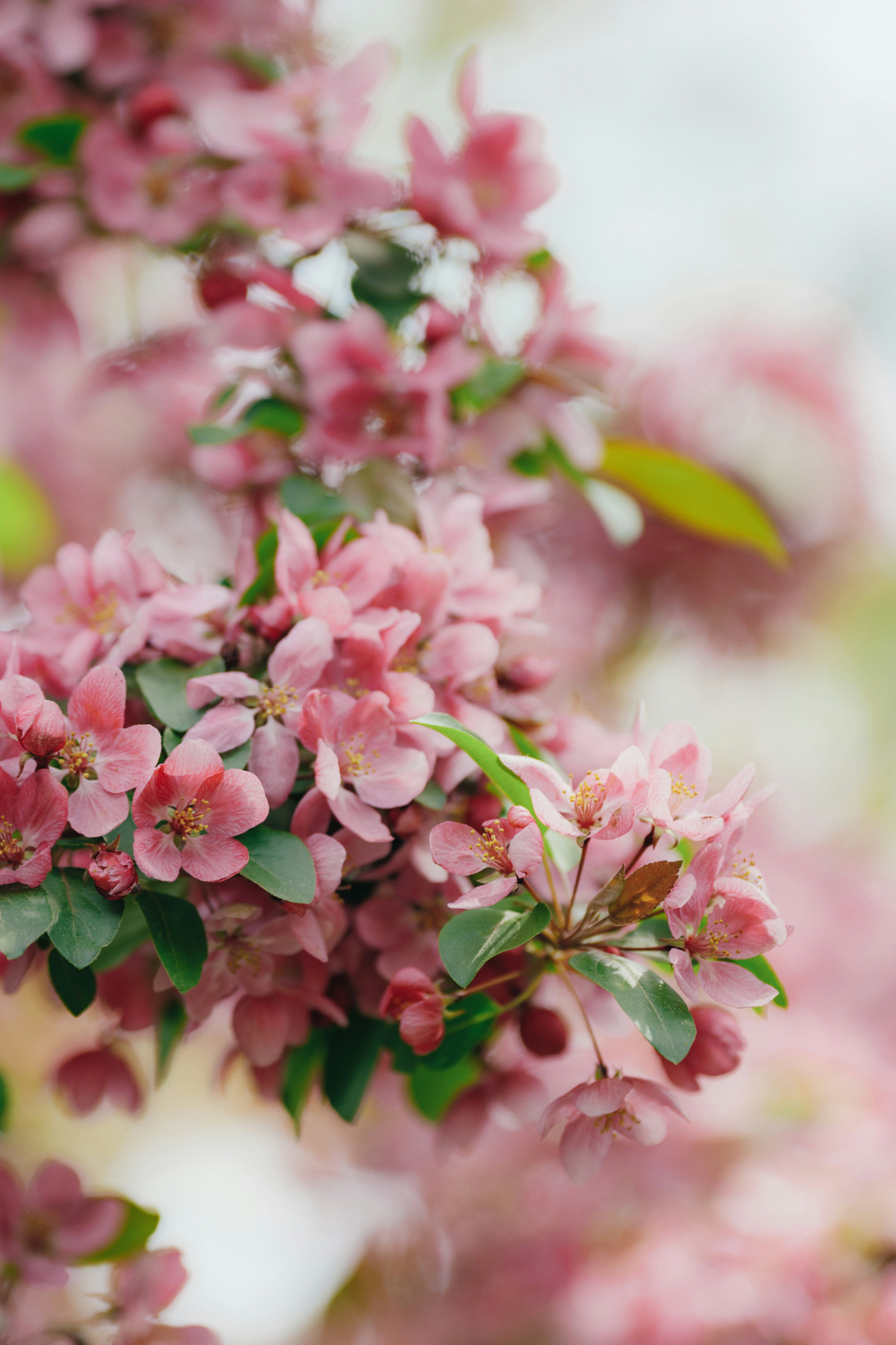 Photo by summerobelisk