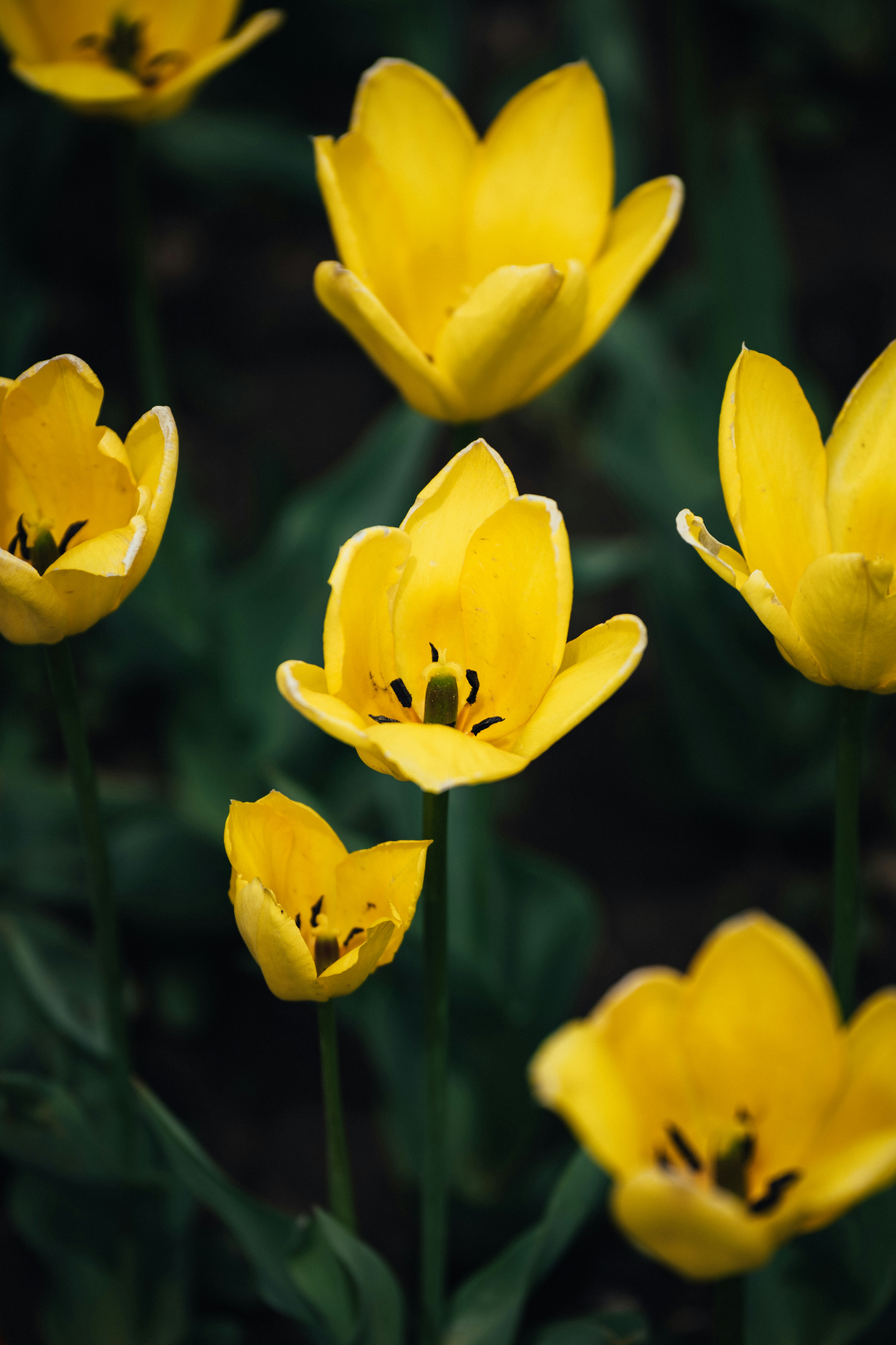 Photo by summerobelisk