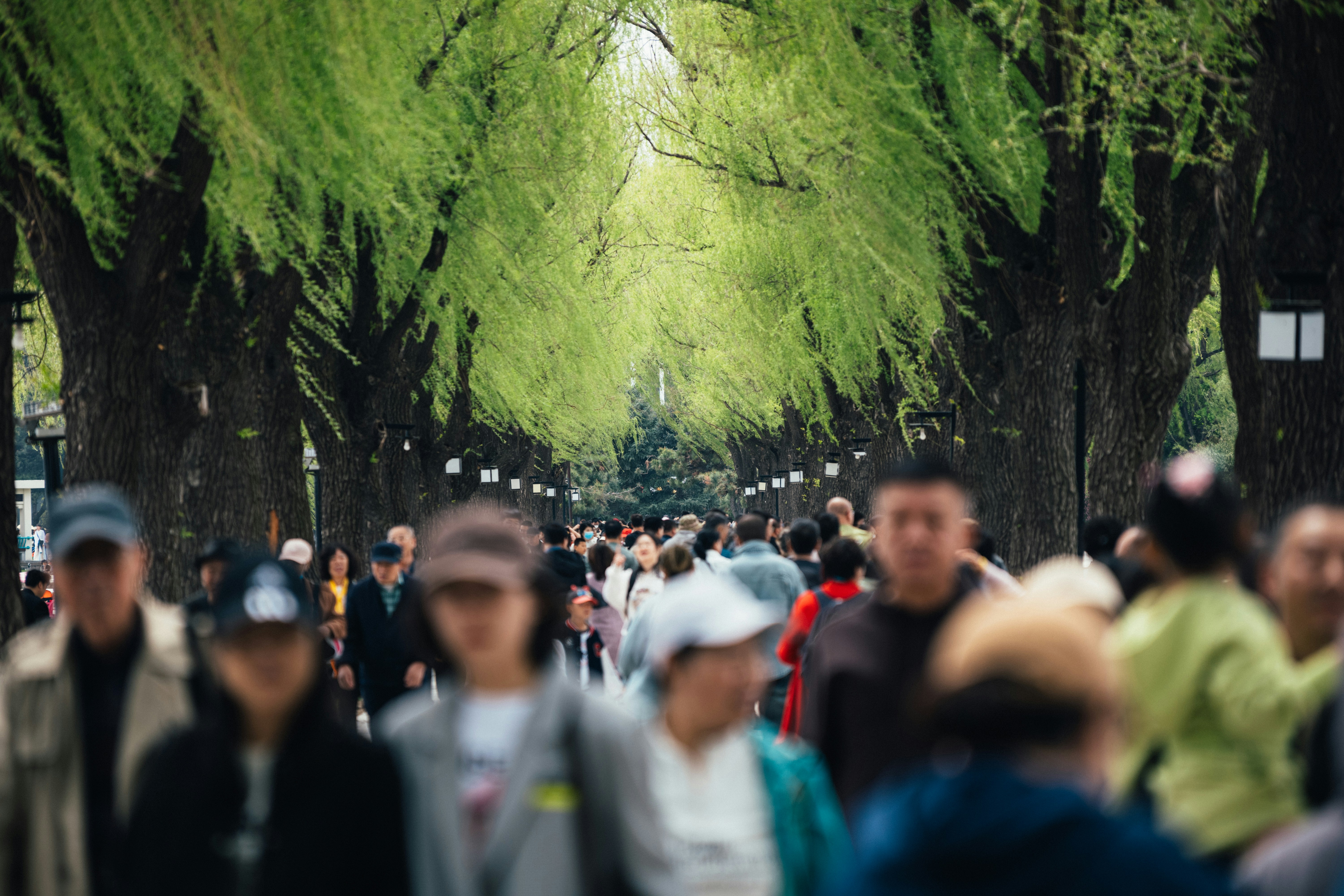 Photo by summerobelisk