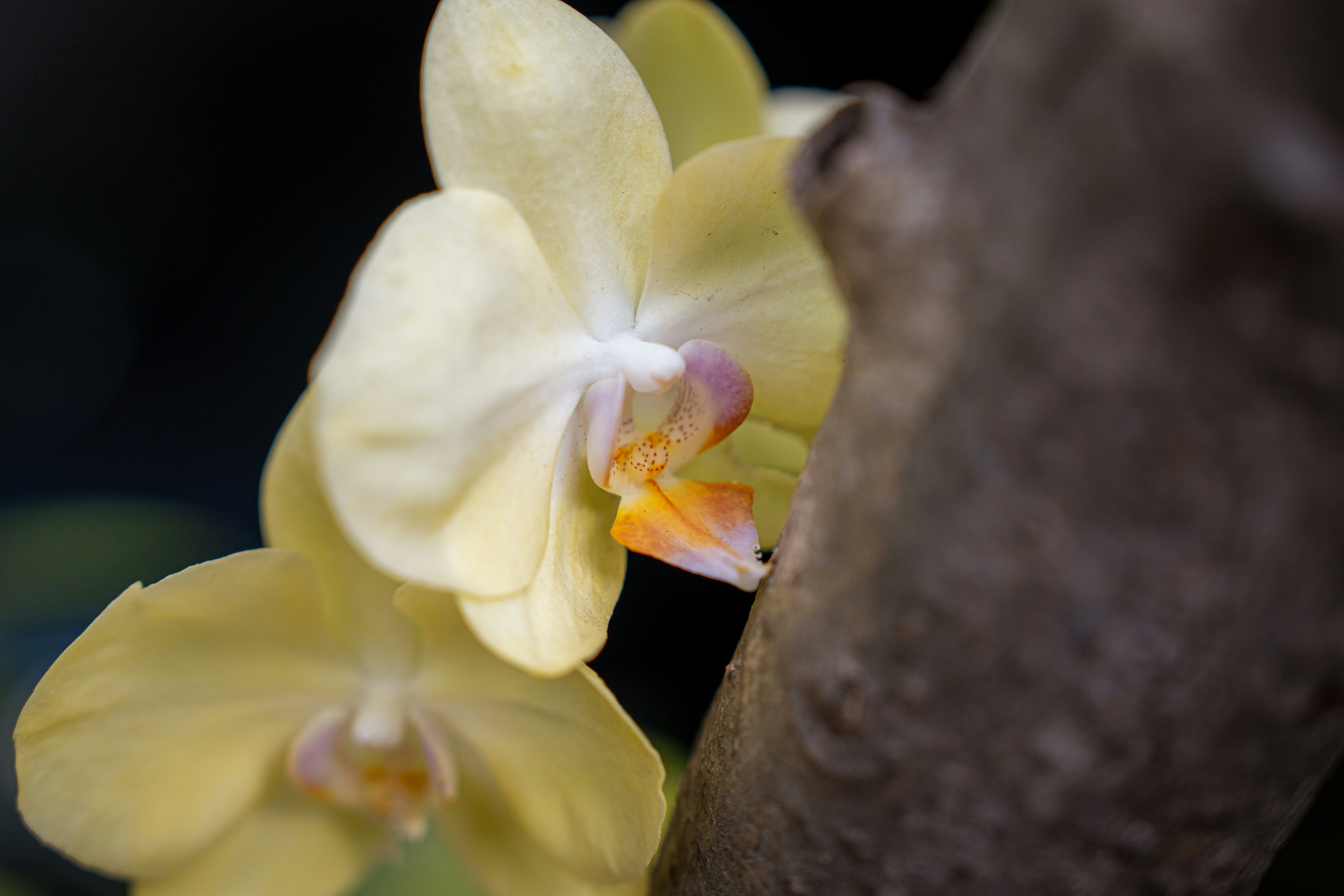 Photo by tlamtran_11