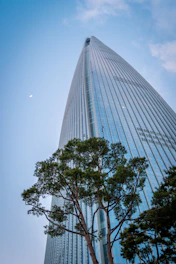 Tall skyscraper reaches toward a clear blue sky.