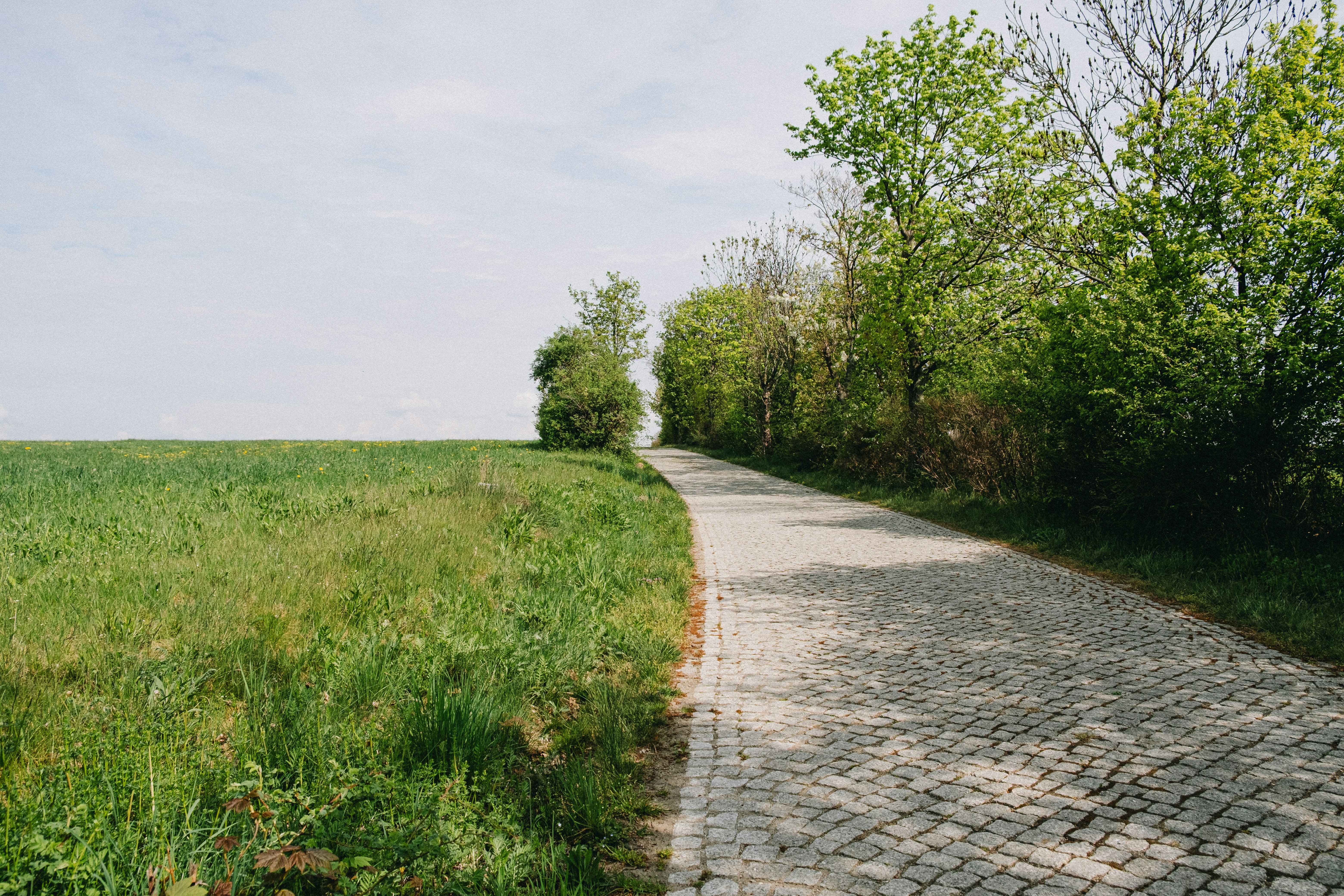 Photo by benkupke