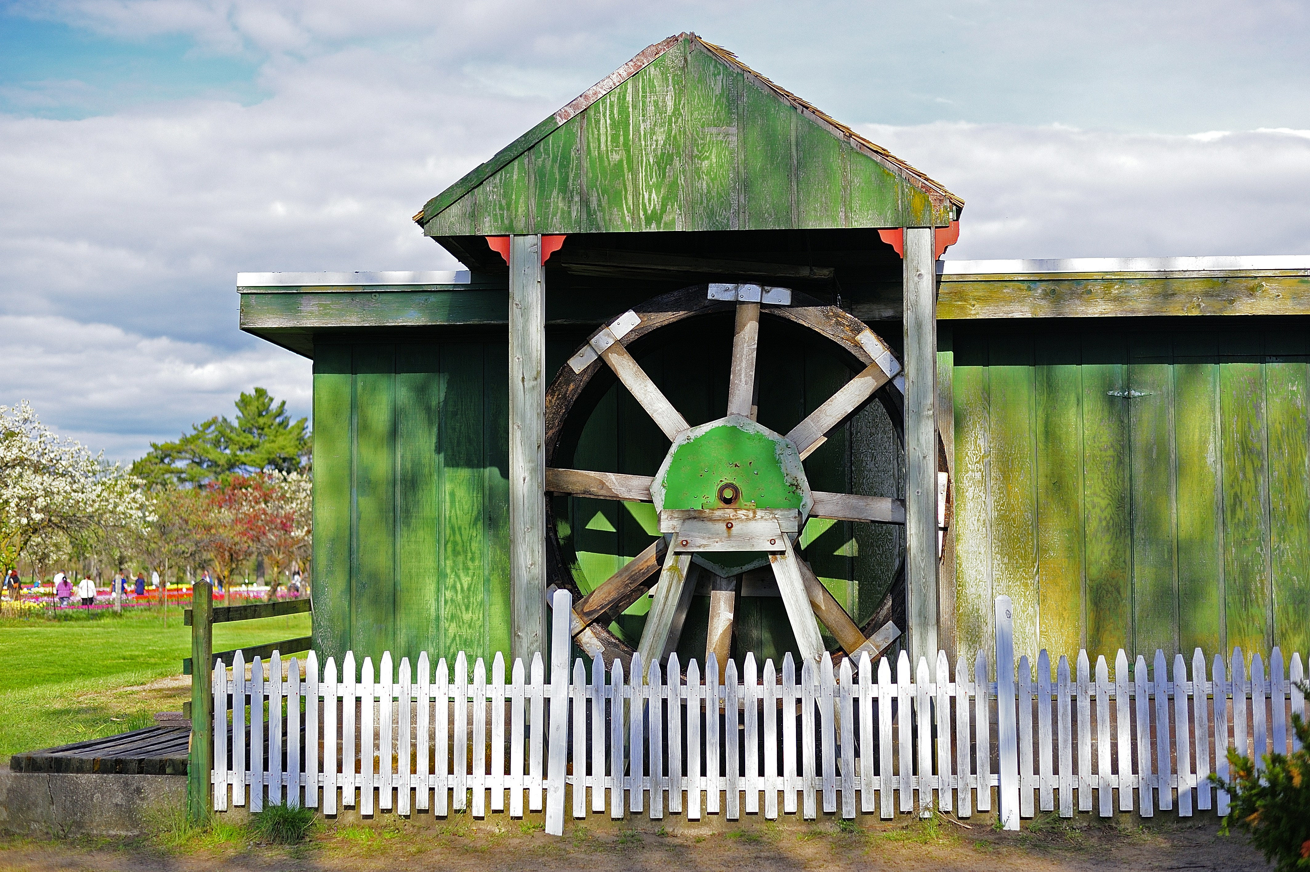 緑の小屋には木製の水車があります。