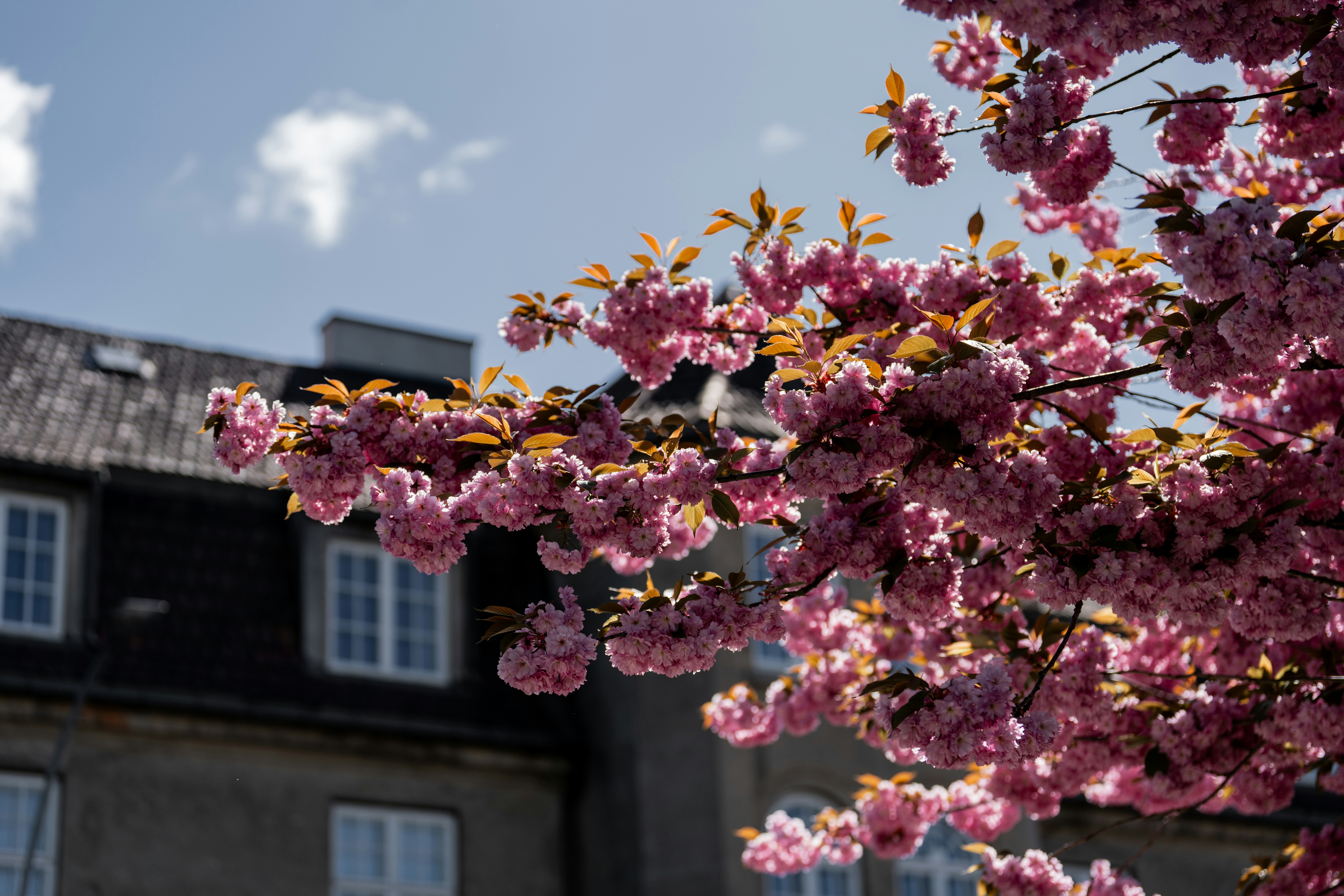 Photo by trfotografi