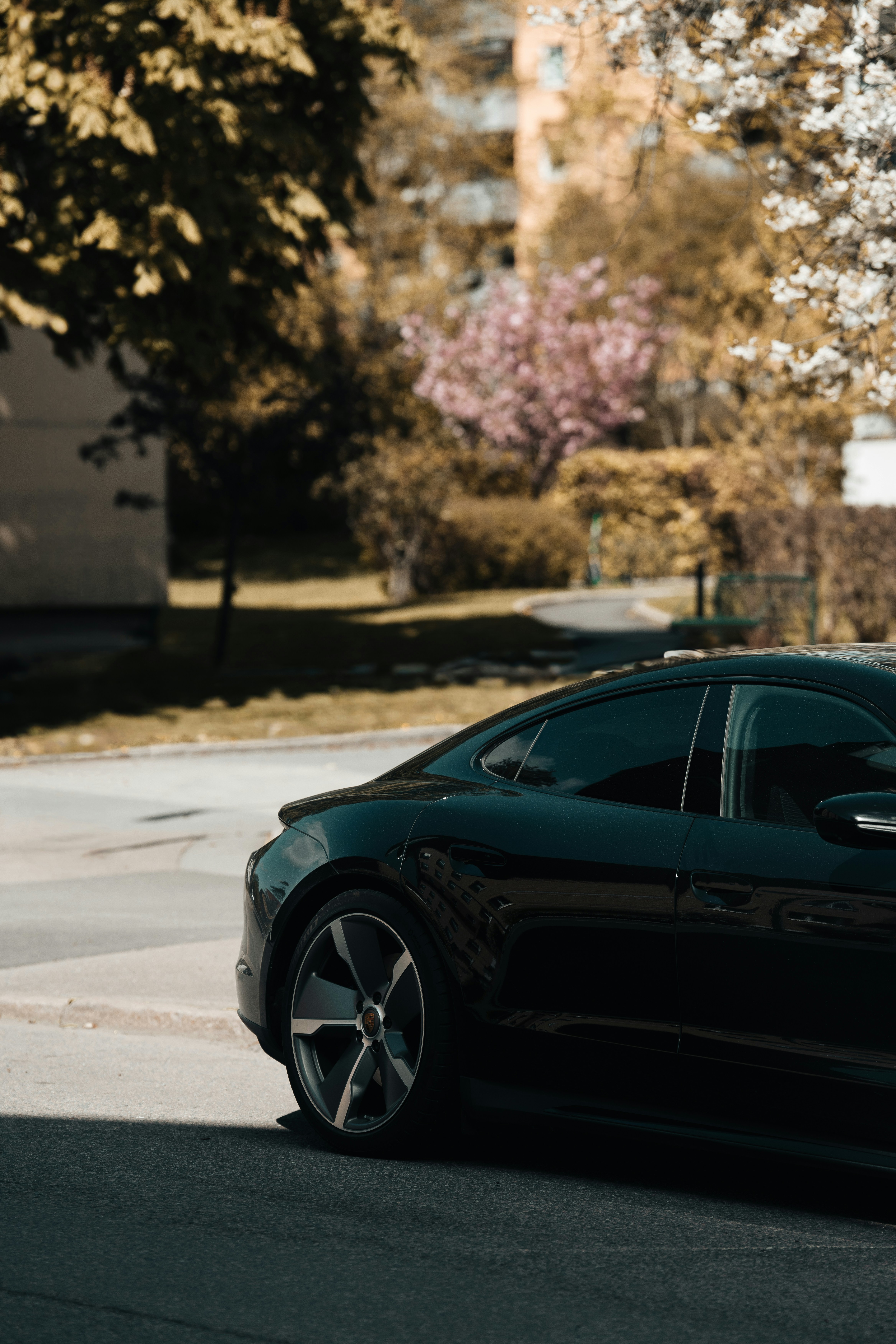 Photo by trfotografi