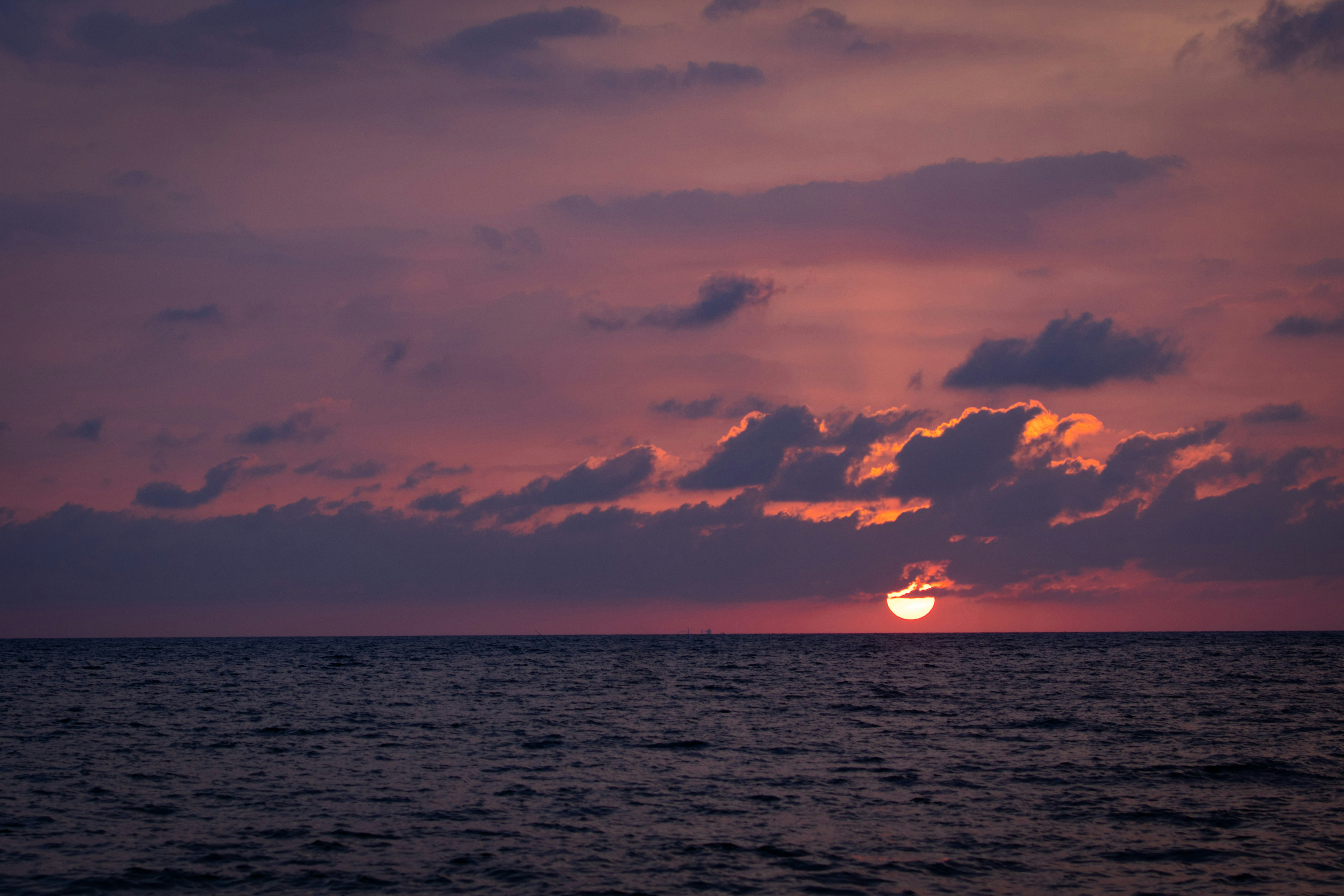 Photo by hidingninjatokyo