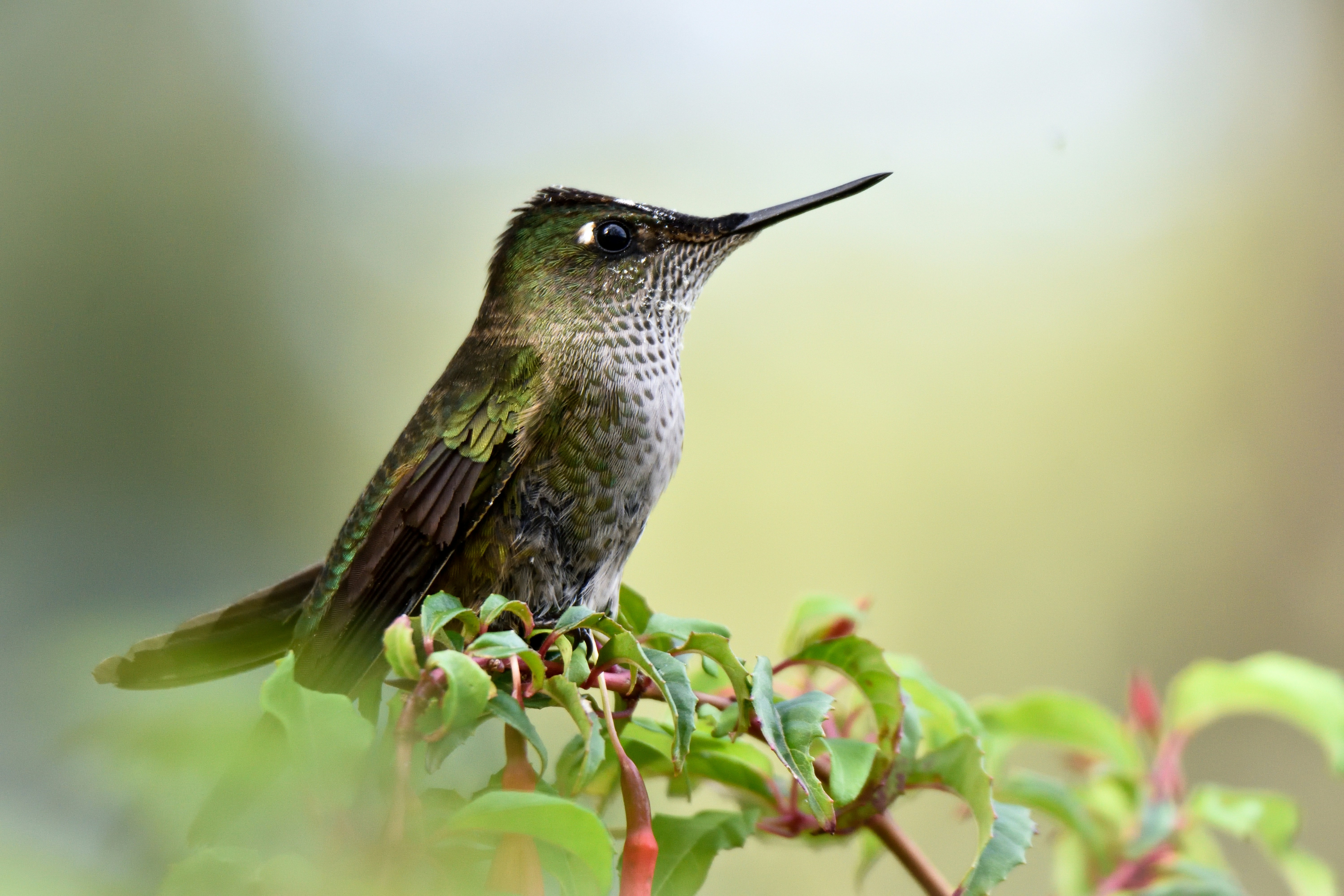 Photo by javiera_neira_f