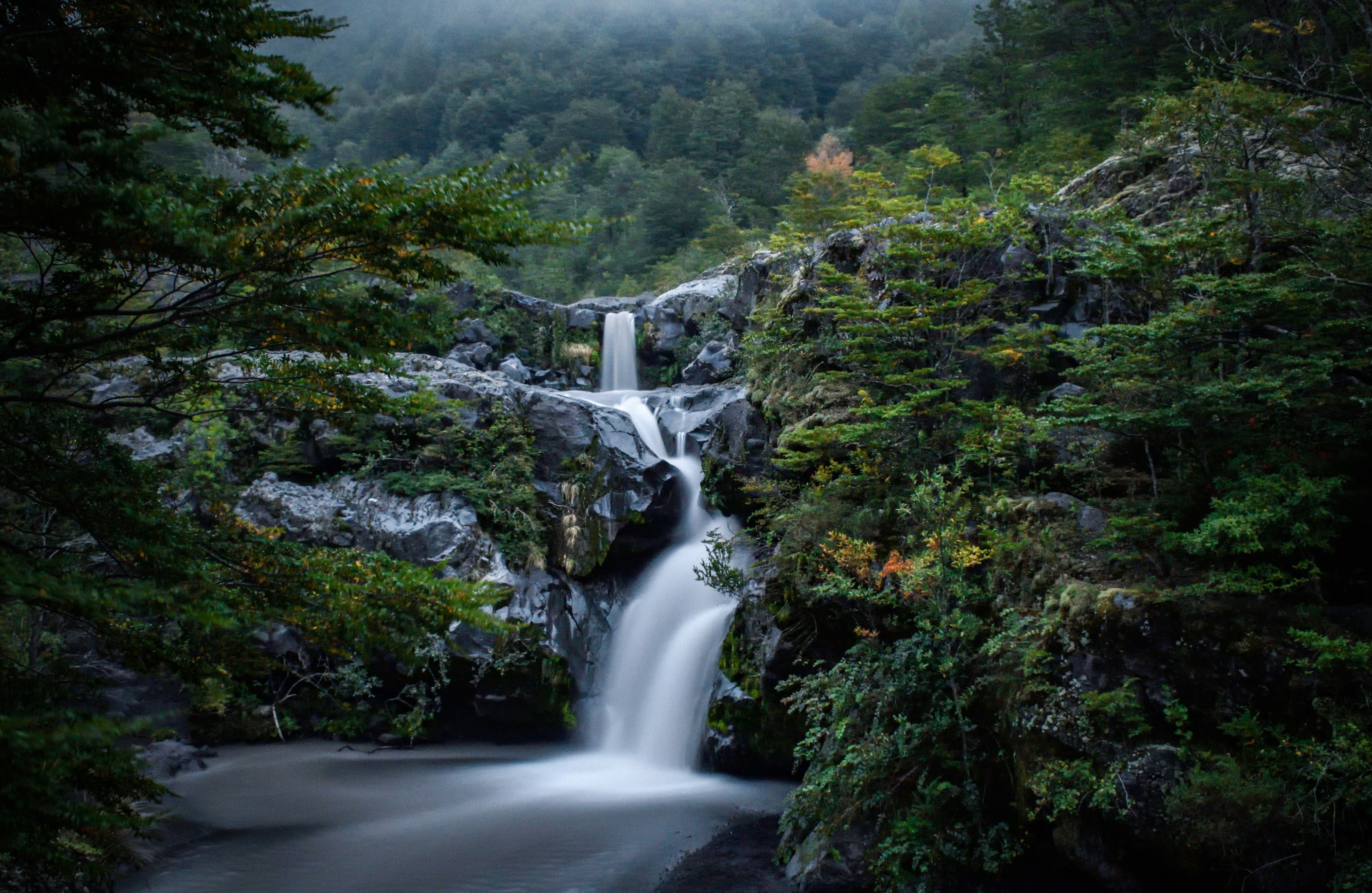 Photo by javiera_neira_f