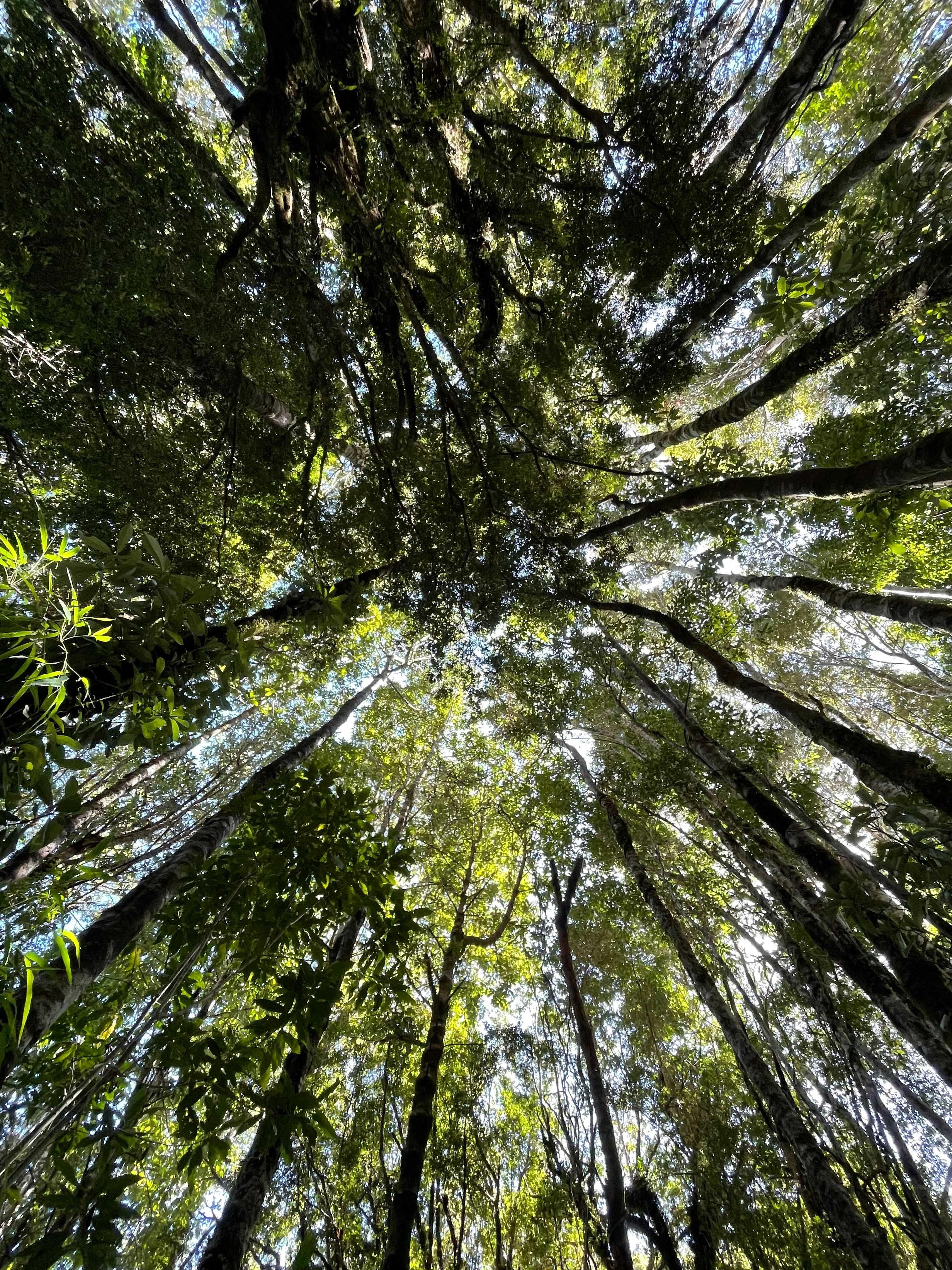 Photo by javiera_neira_f