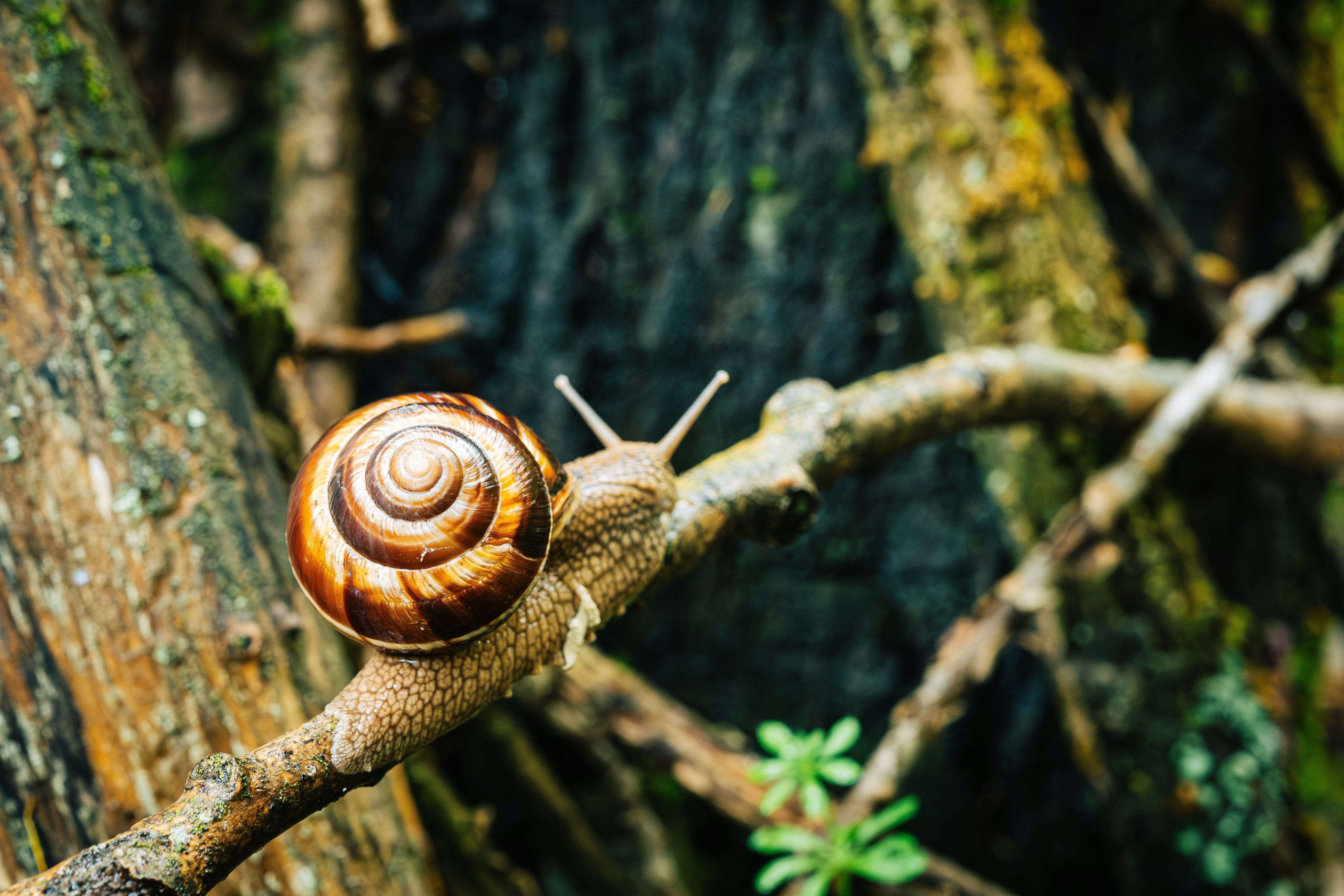 Photo by remimorel05