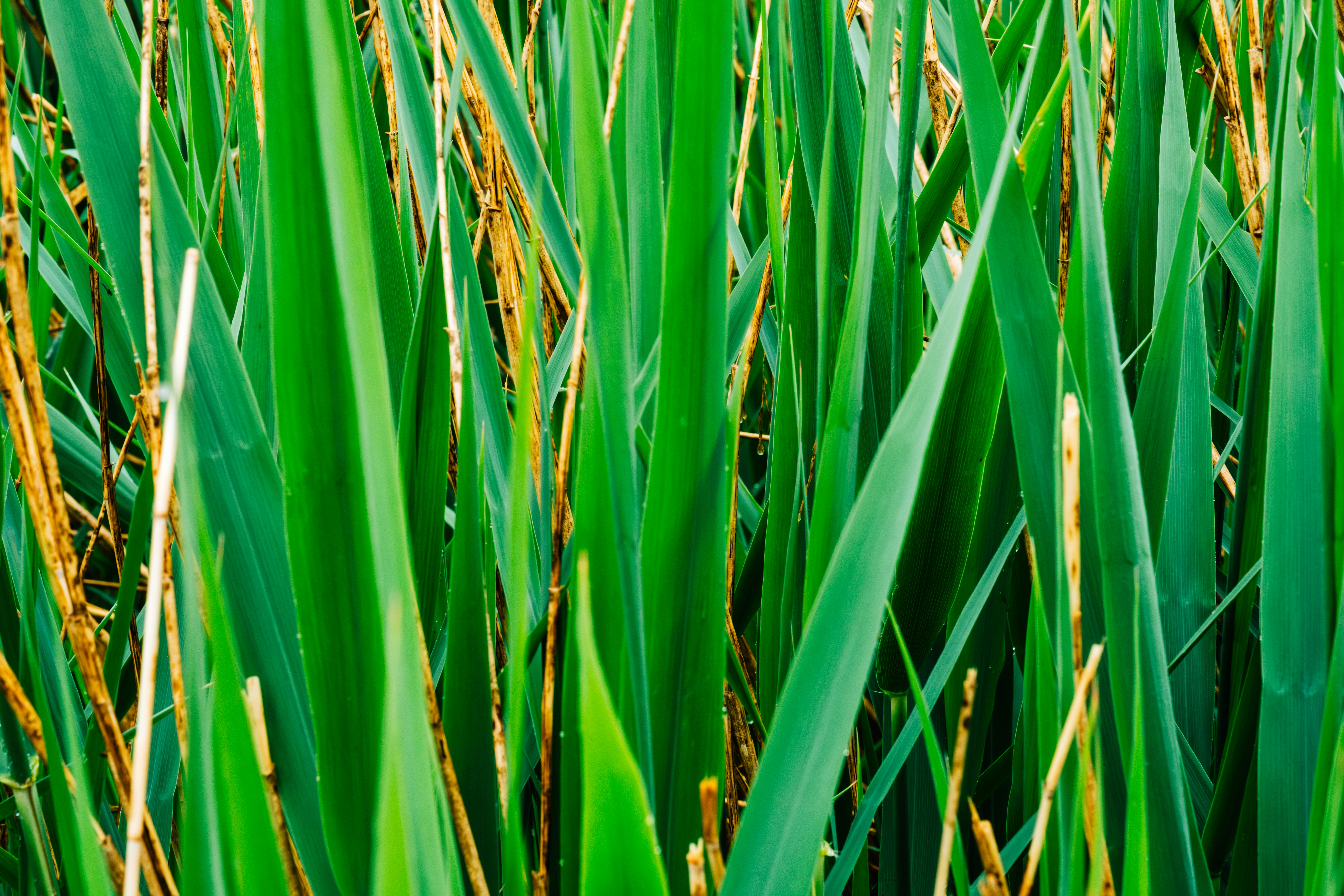 Photo by remimorel05