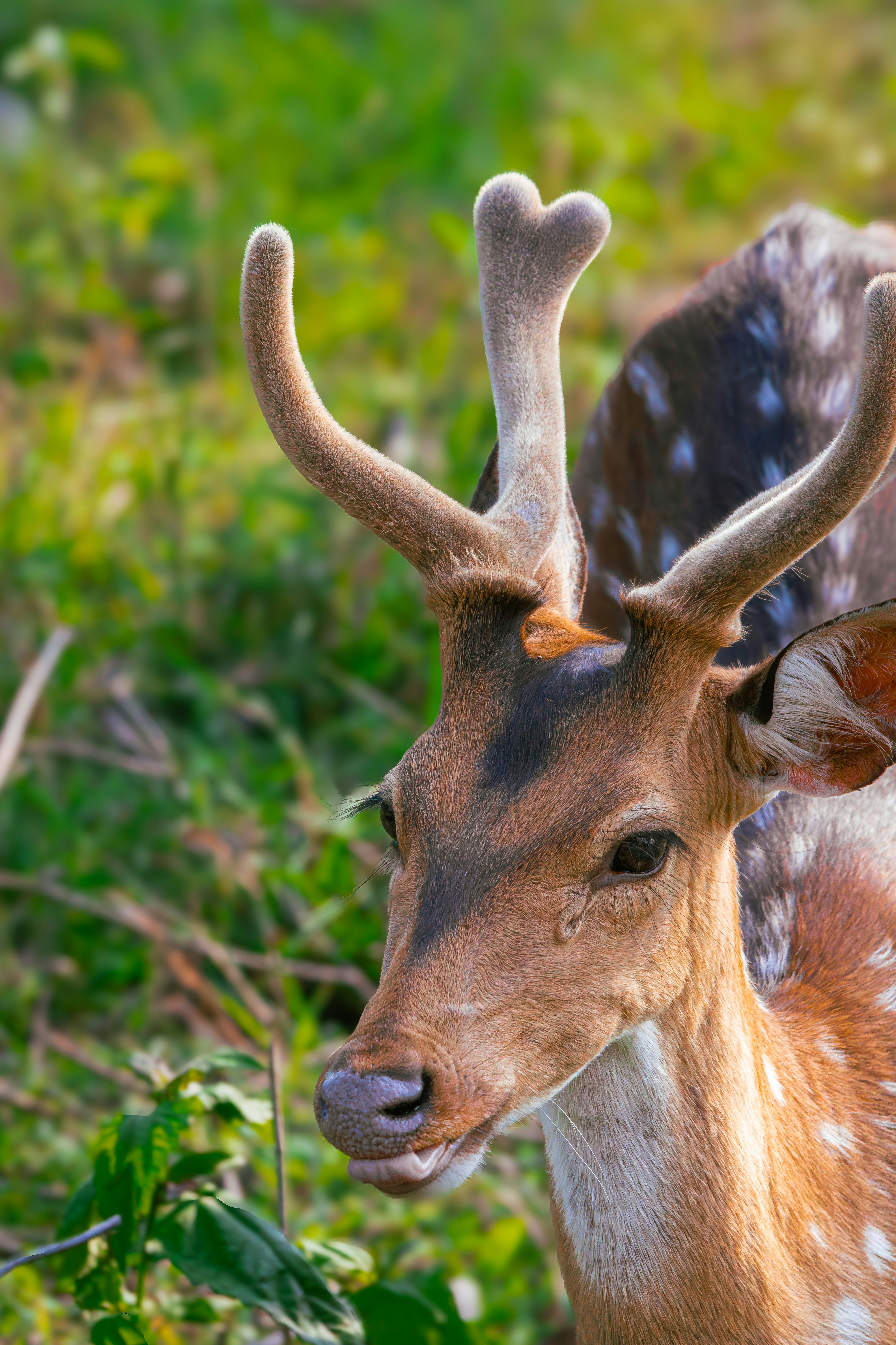 Photo by sameer_srivastava