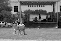 People watch a band performing on an outdoor stage