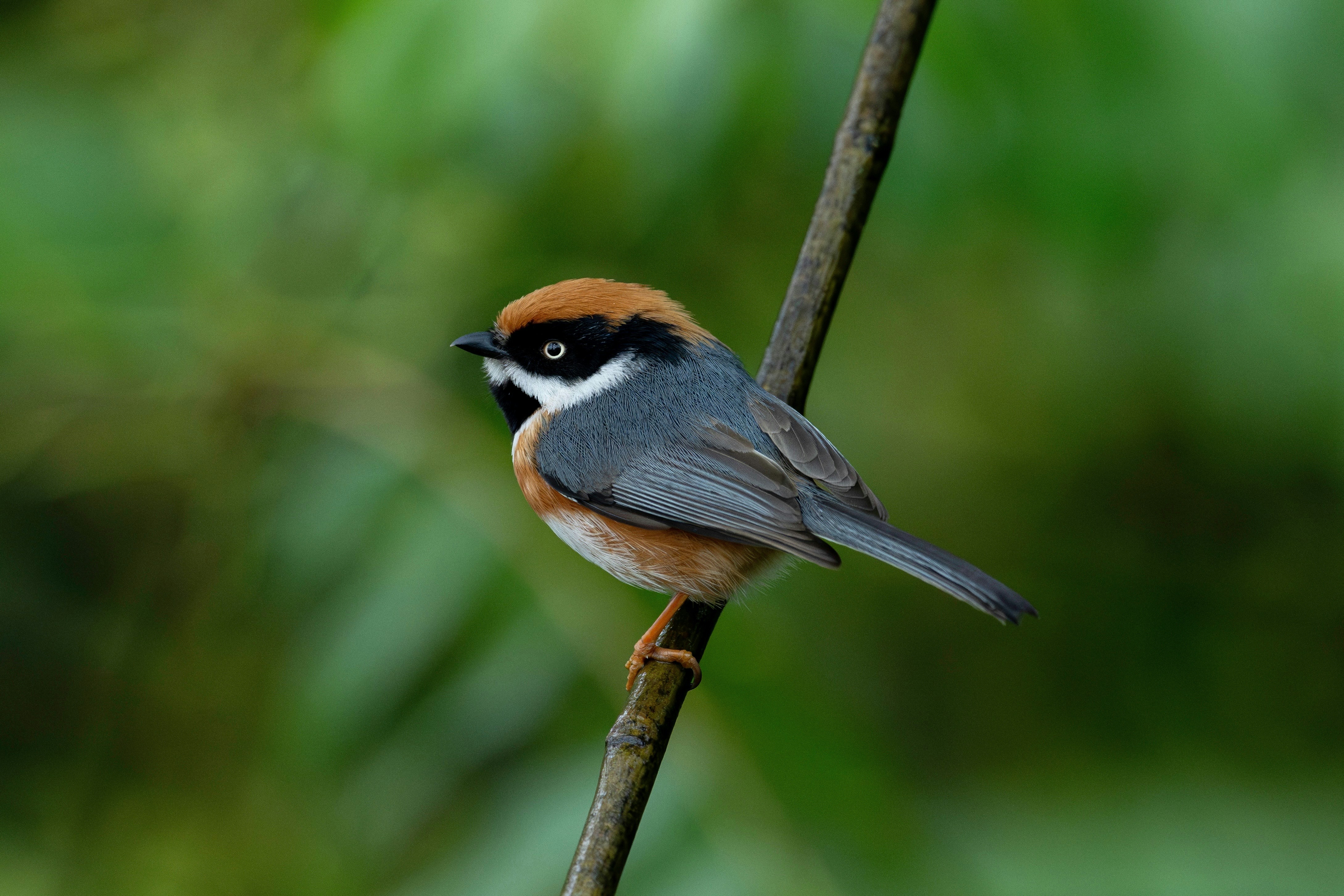 Photo by briadorothy