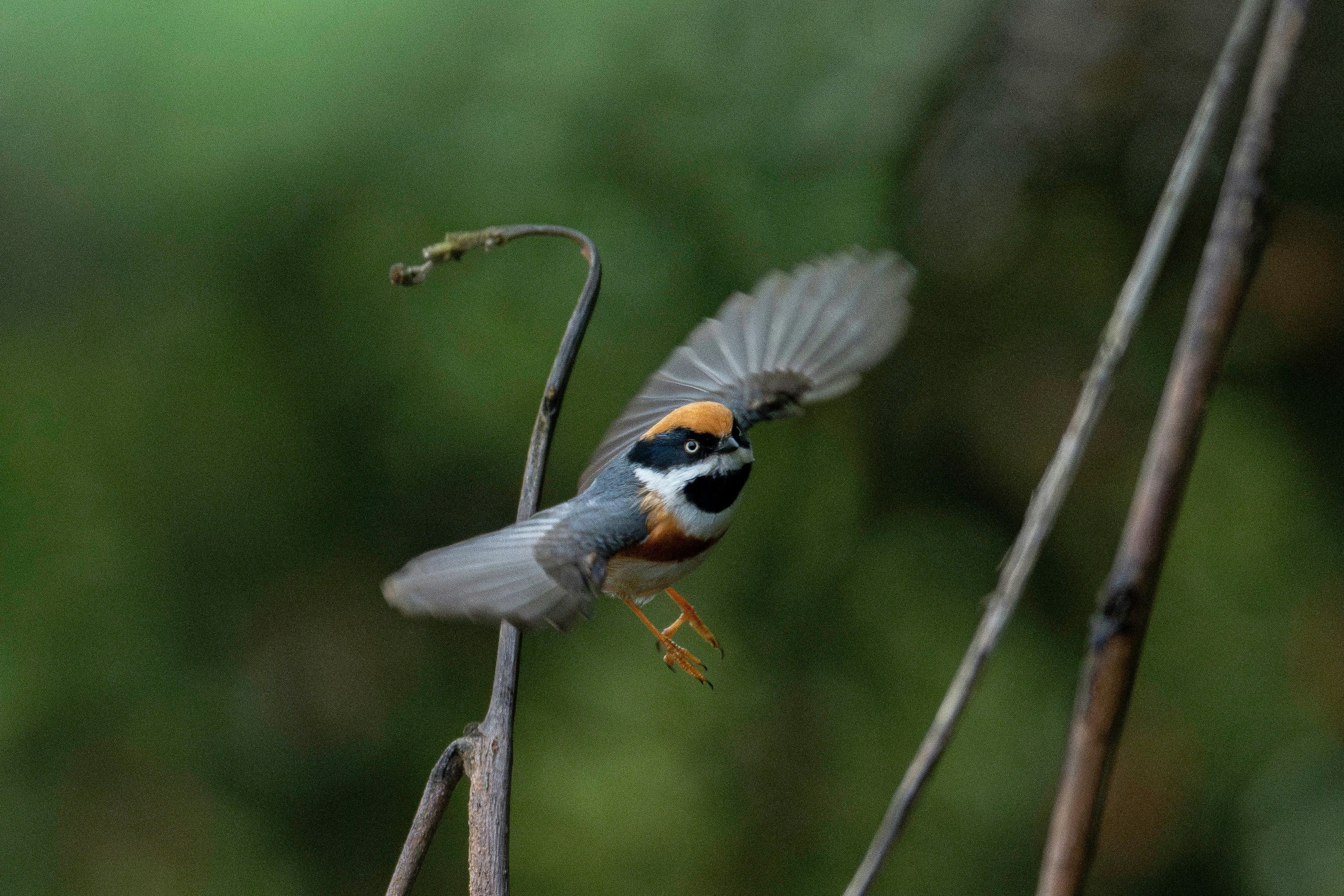 Photo by briadorothy