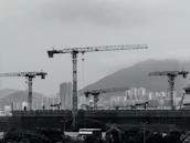 Construction cranes populate the cityscape