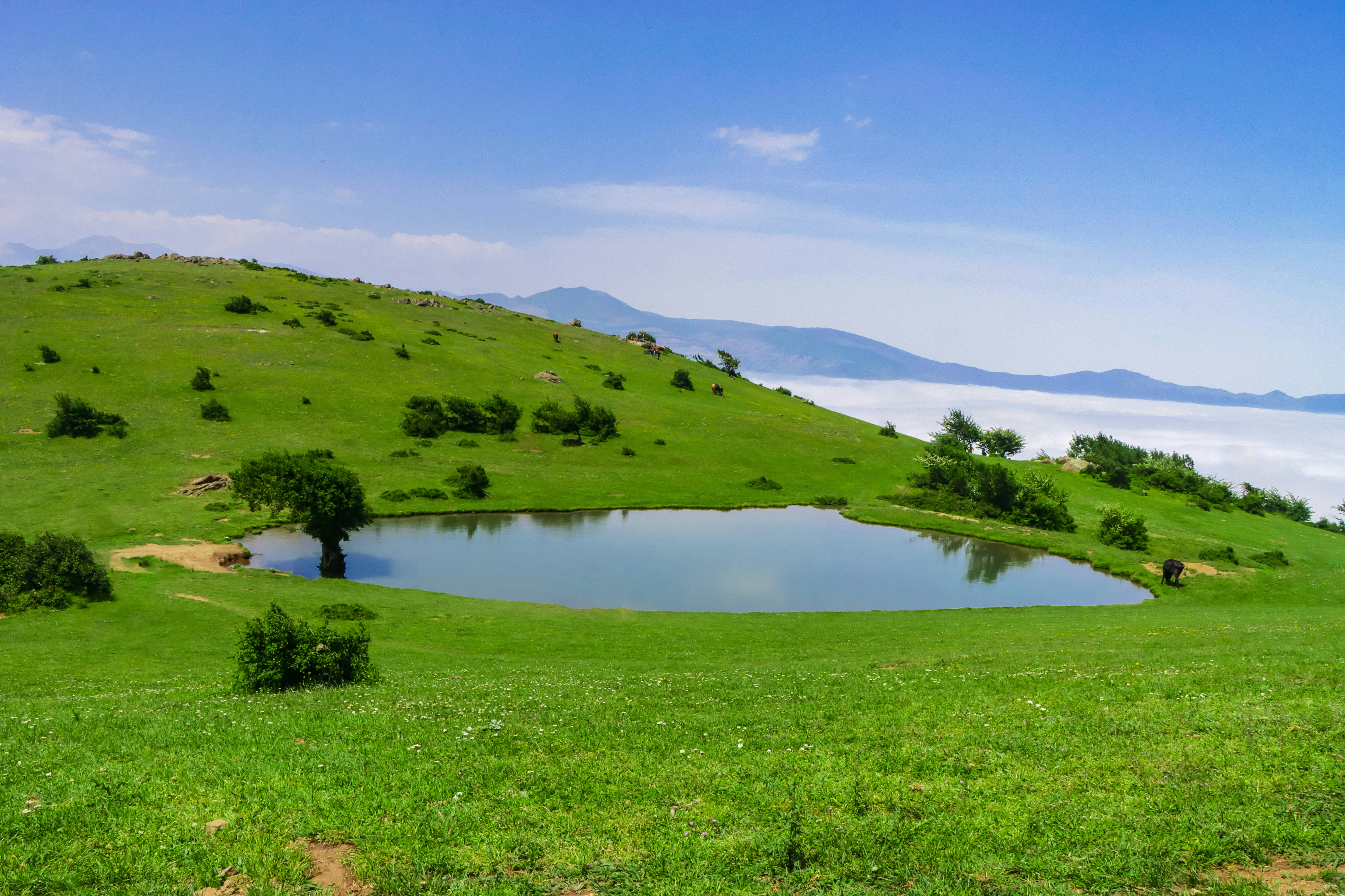 A tranquil lake rests amidst rolling green hills.