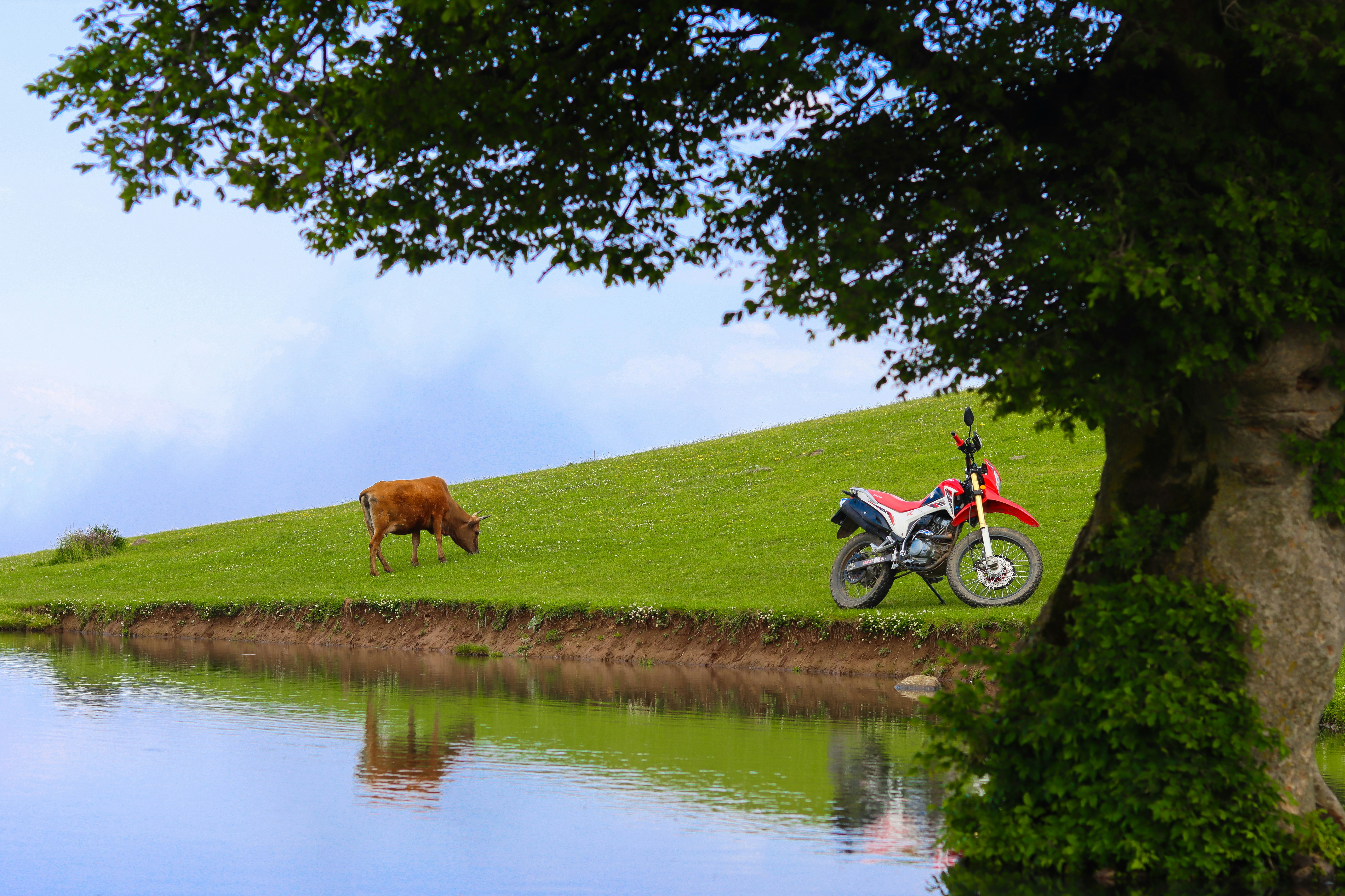 A motorcycle sits on a grassy hill.