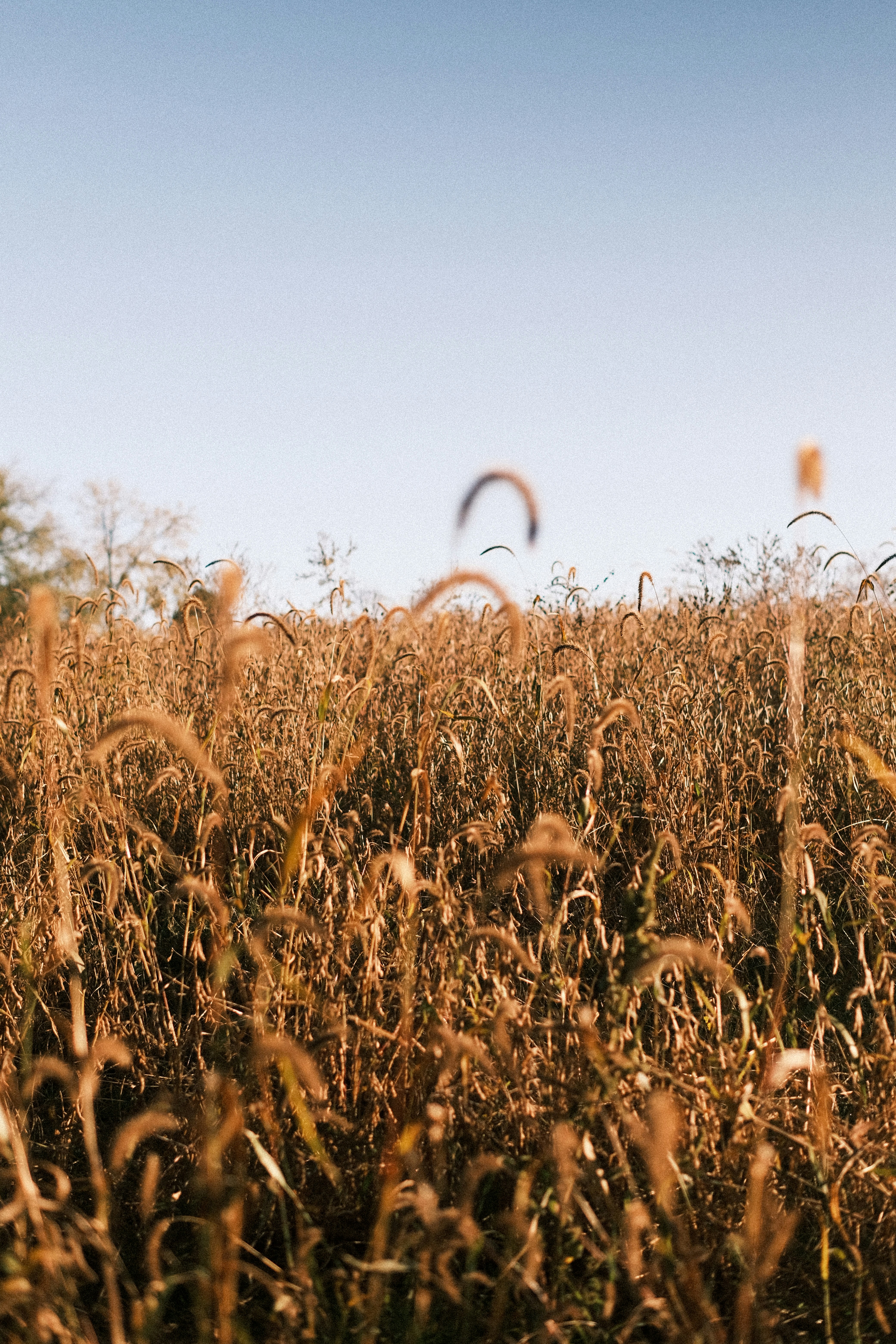 Photo by singhramneek54