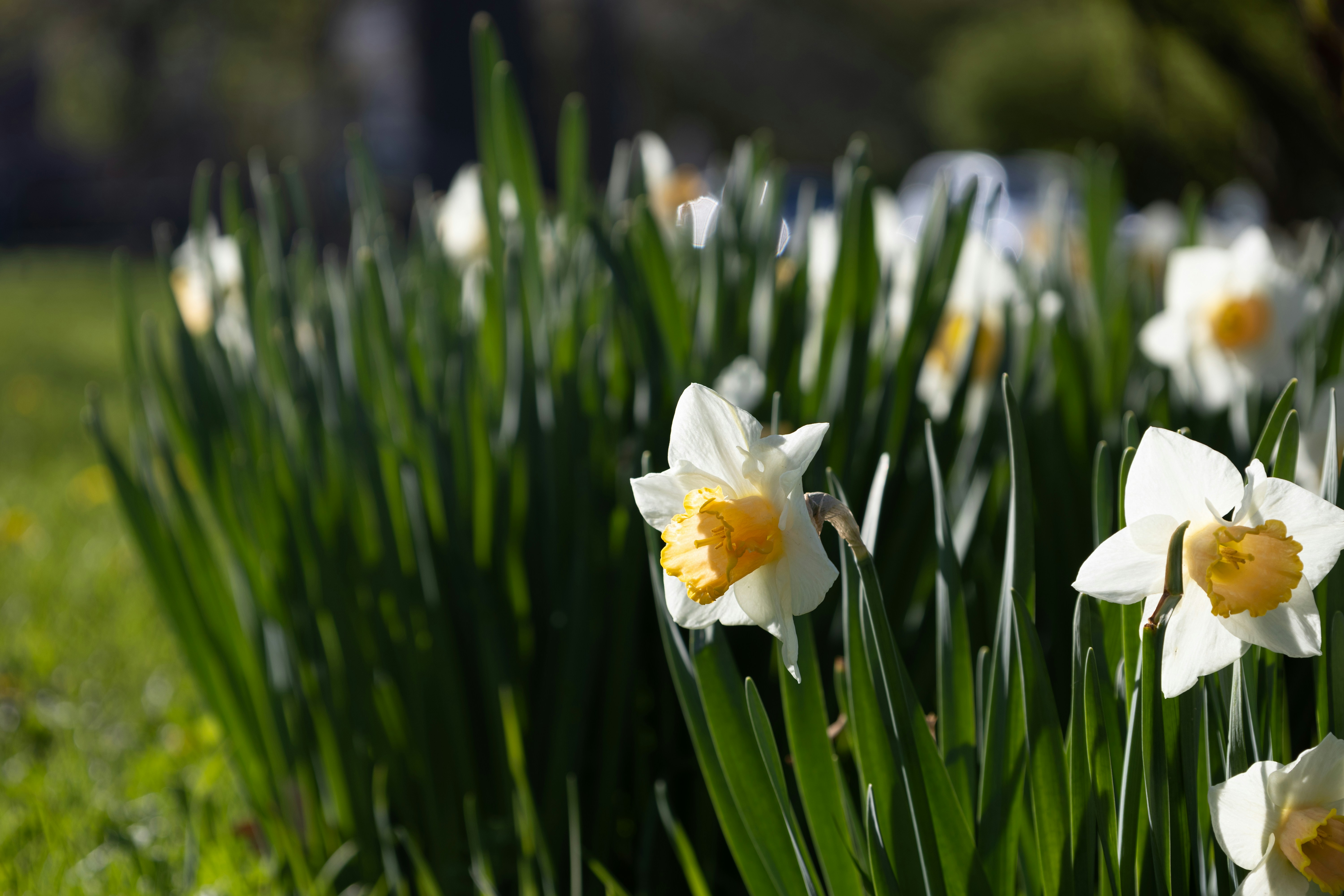 Photo by vincentyuan87