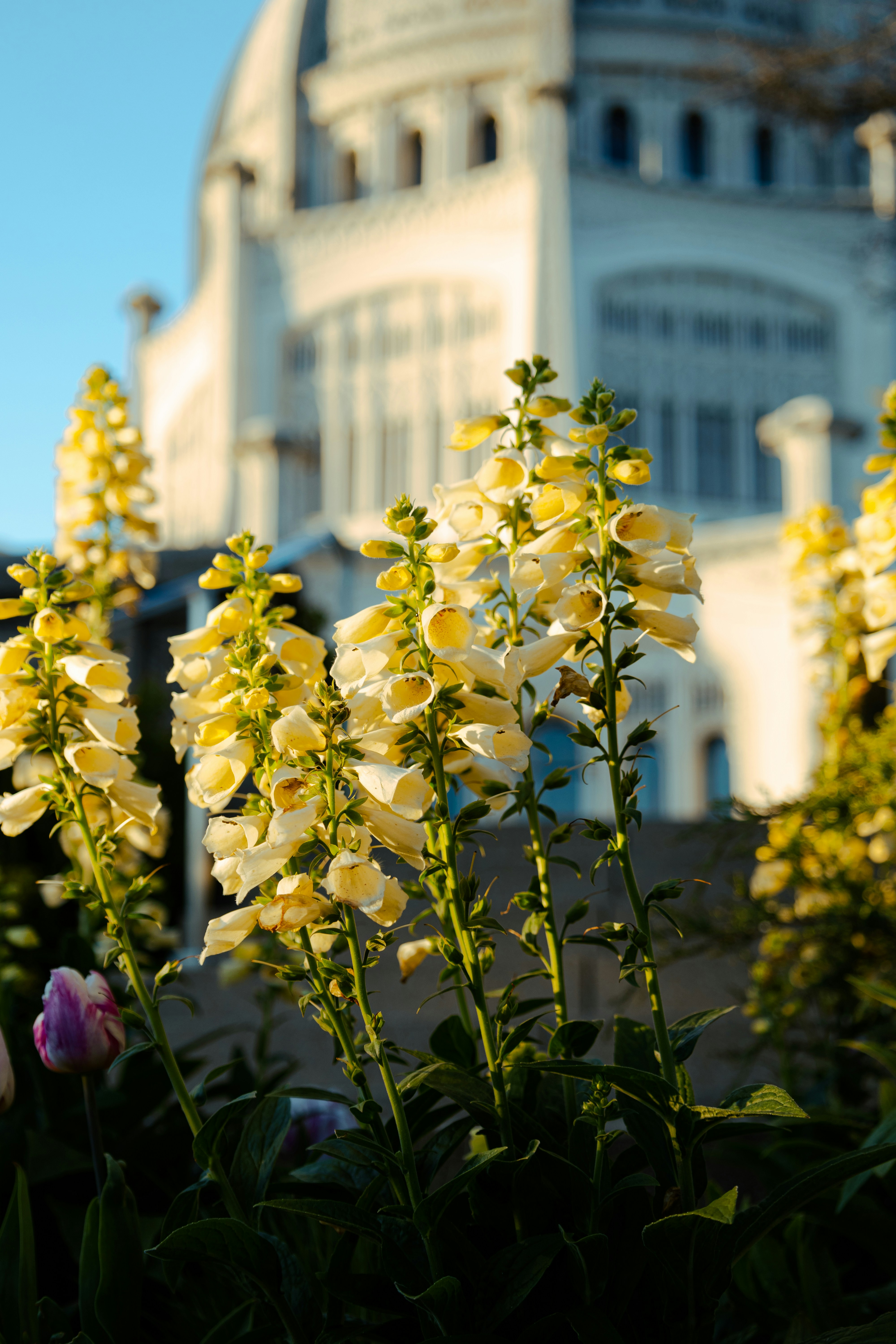 Your Guide to Buying a Home in Wilmette, IL