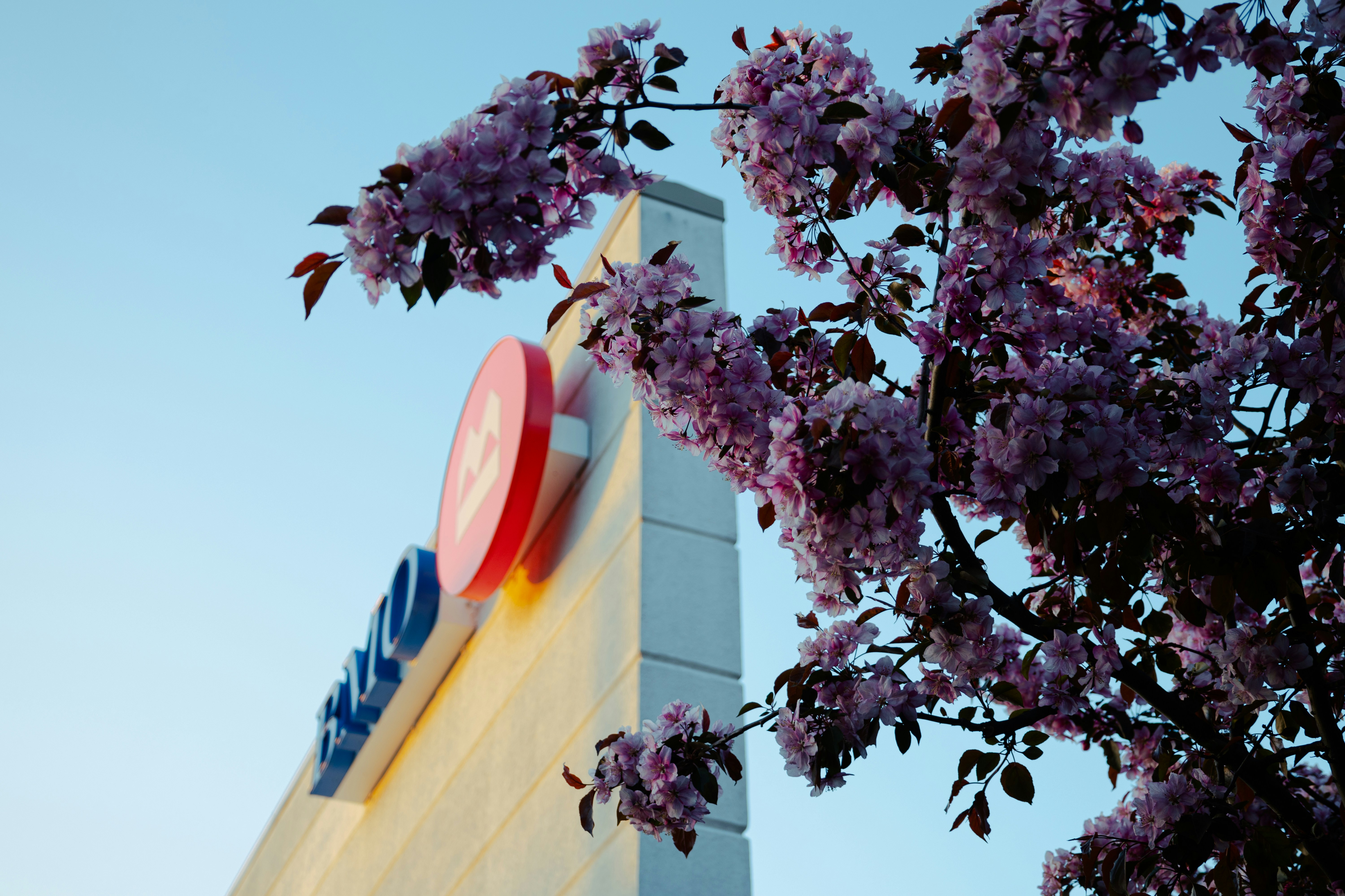 Wells Fargo Maintains Equal-Weight on Crown Holdings, Raises Price Target to $99
