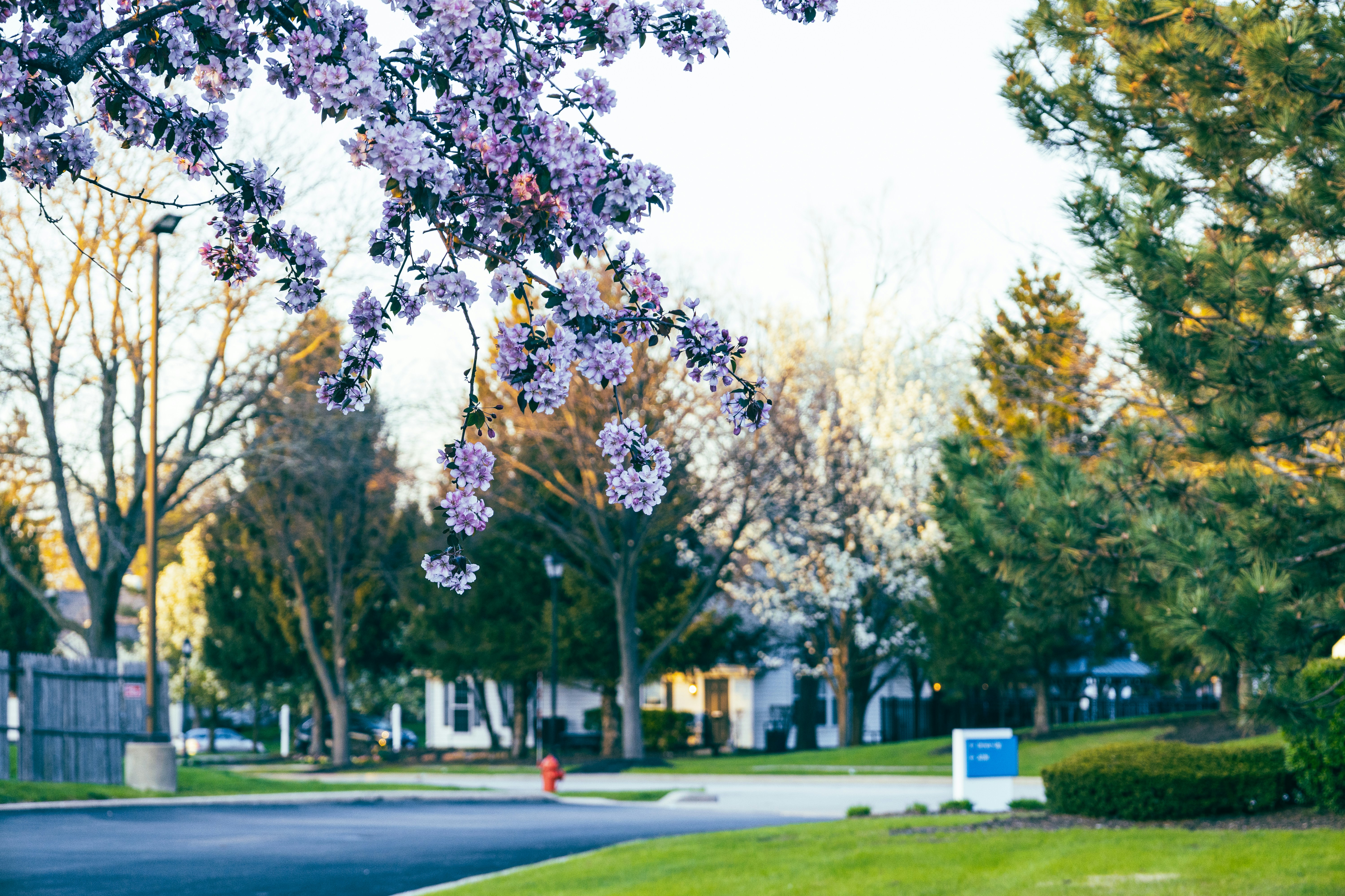 Photo by vincentyuan87