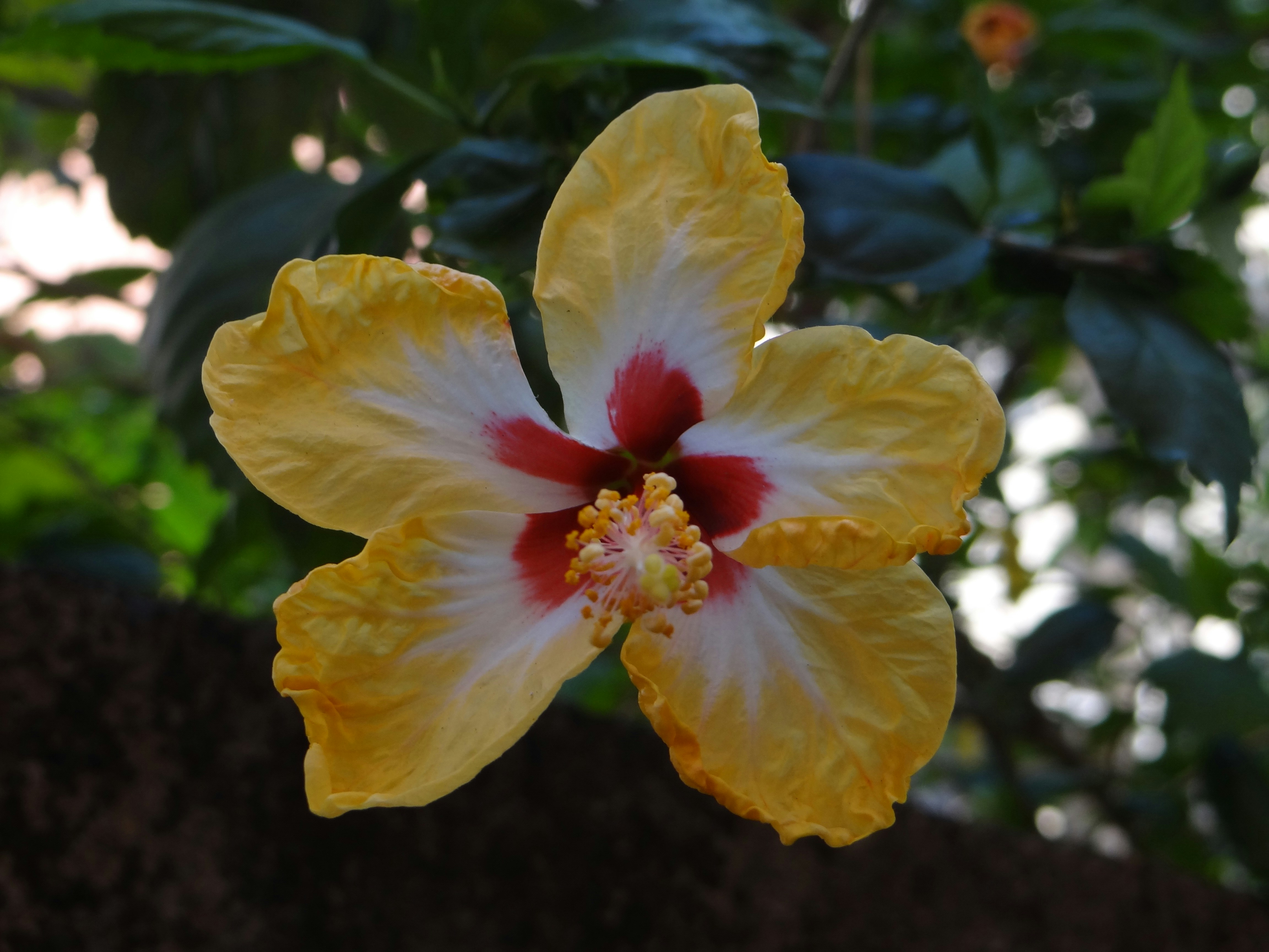 Photo by jishaan_azmi