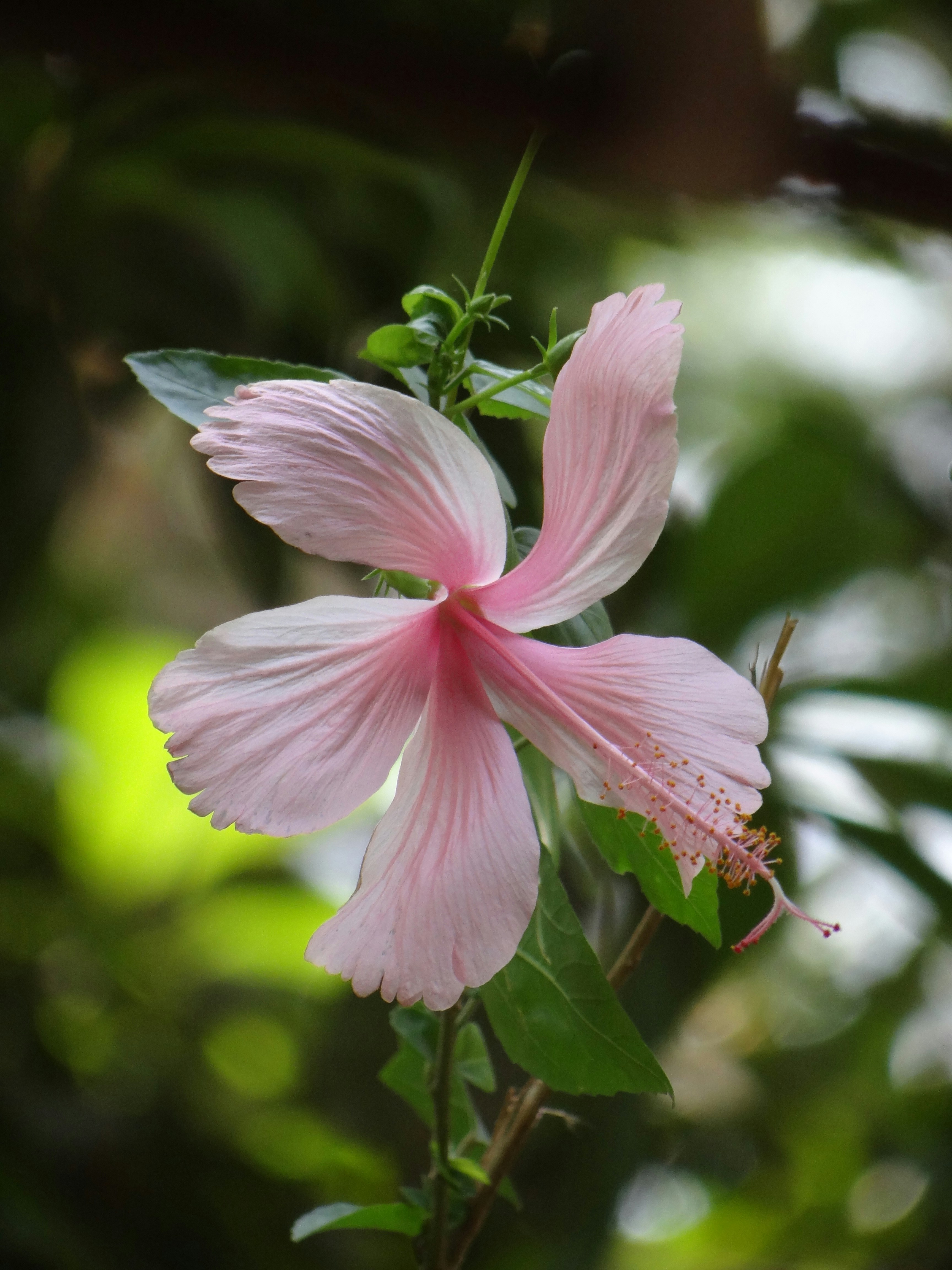 Photo by jishaan_azmi