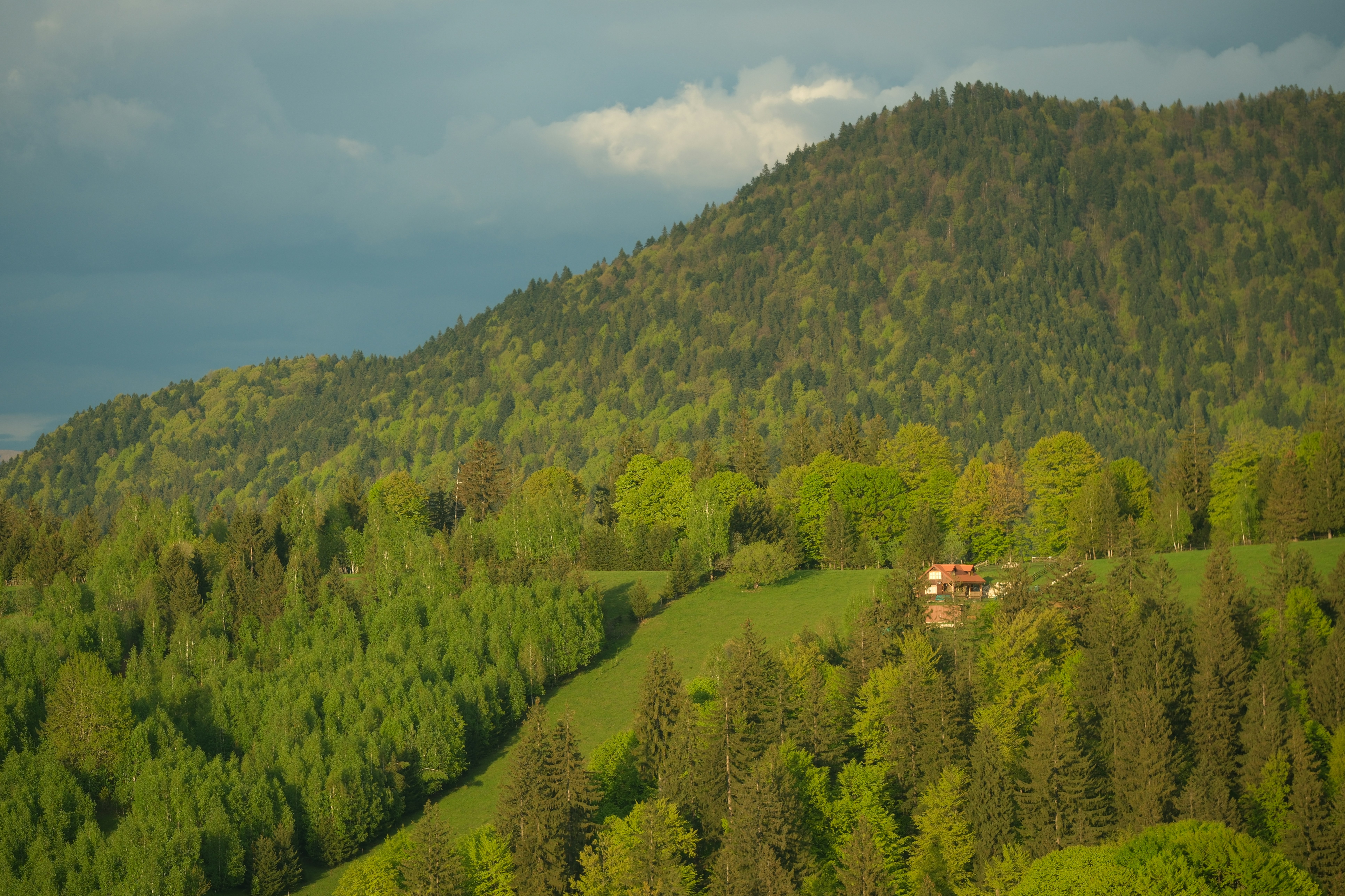 Image by Mihai Neagu via Unsplash