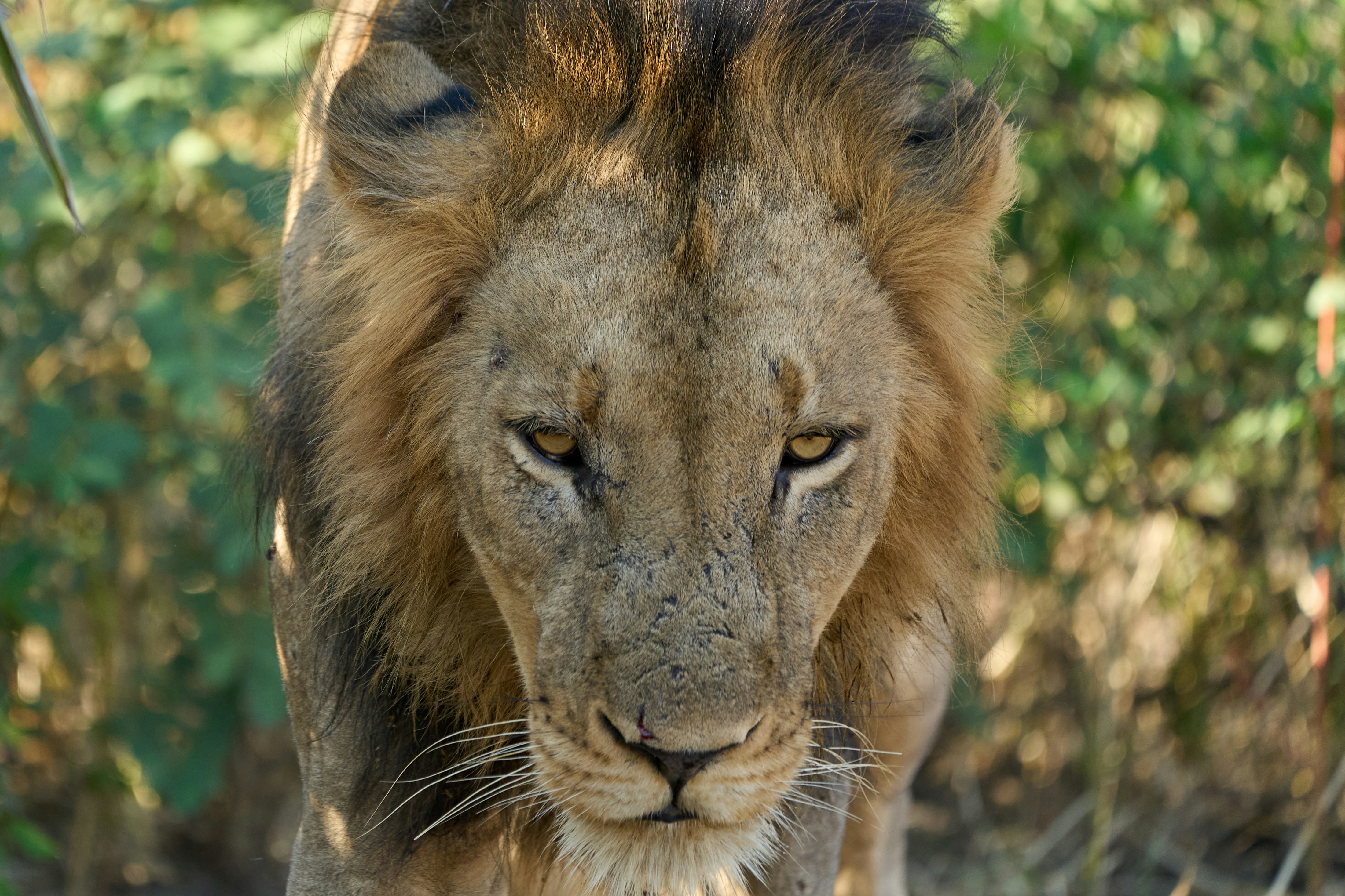 Photo by dmitrii_zhodzishskii