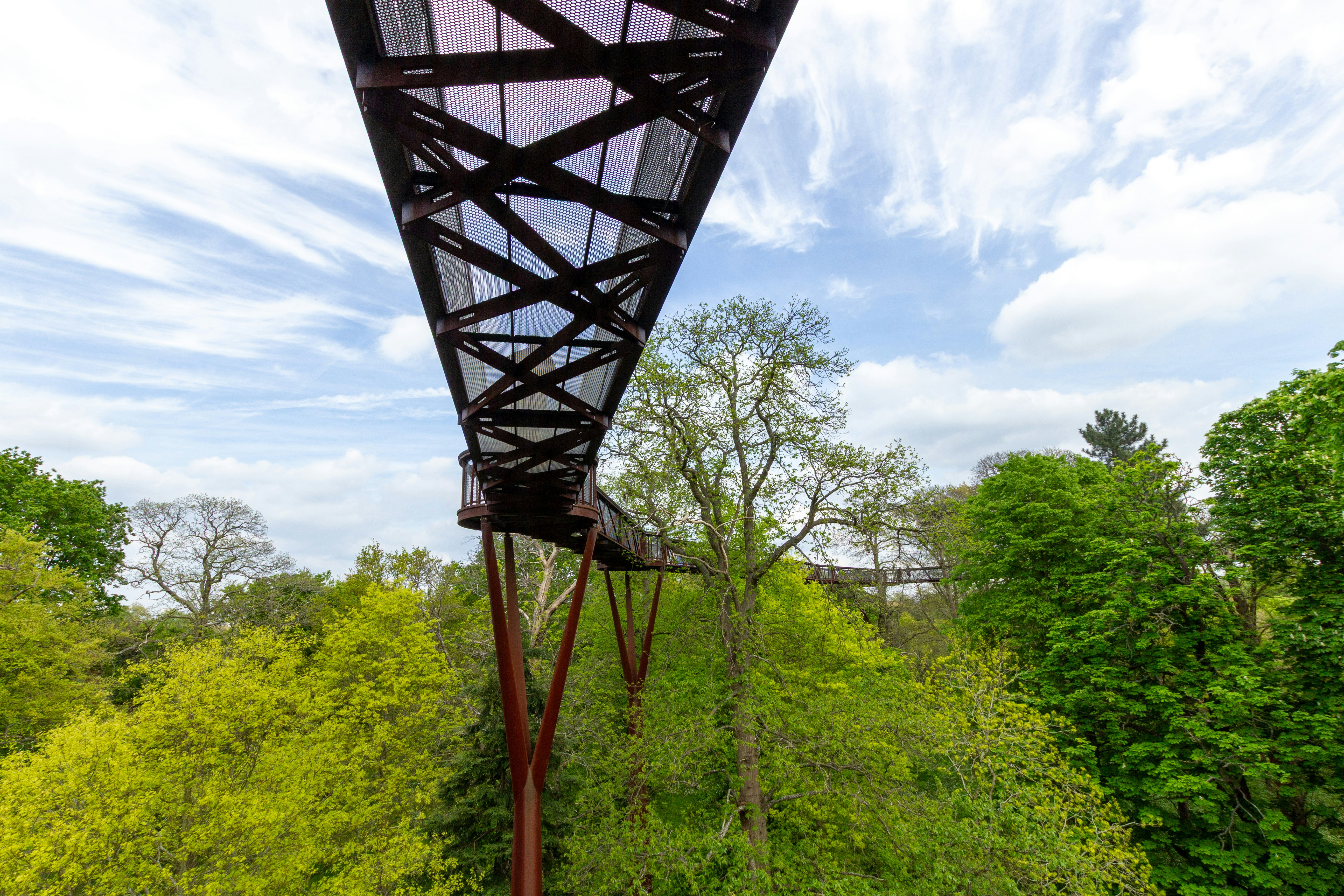 Photo by laurusnobilis