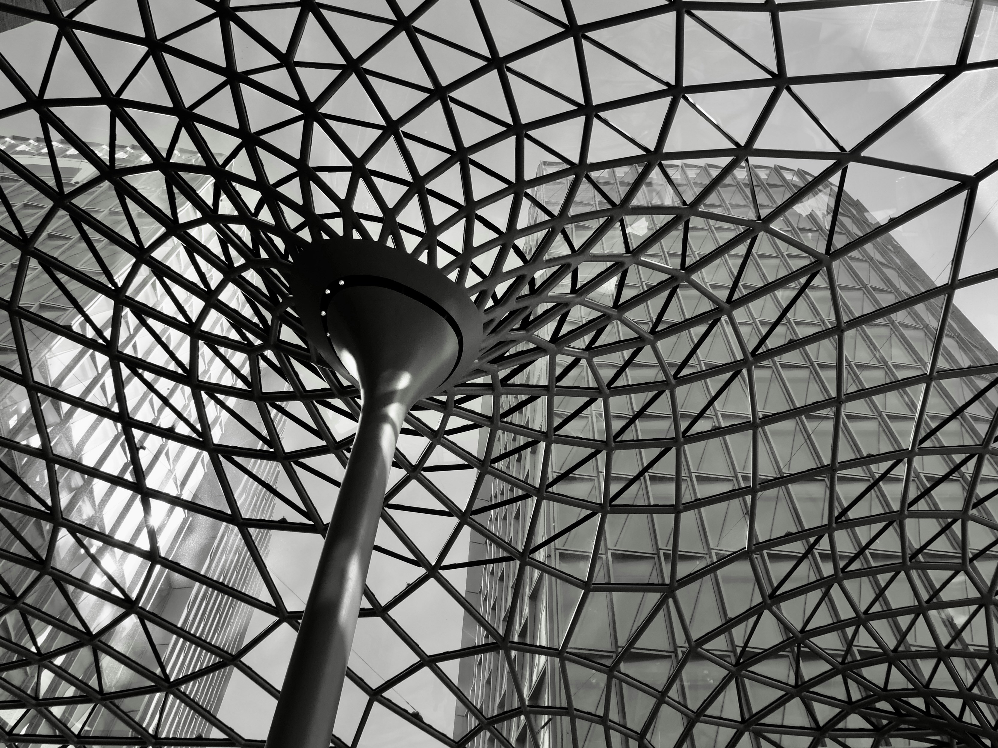 Photo by sanneschroeder